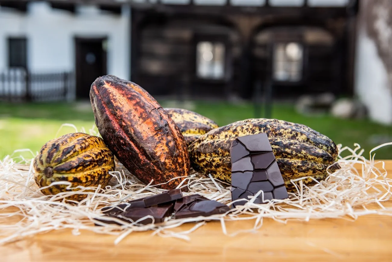 Čokoládový workshop: výroba dobrot z belgické čokolády a degustace pro 2 osoby