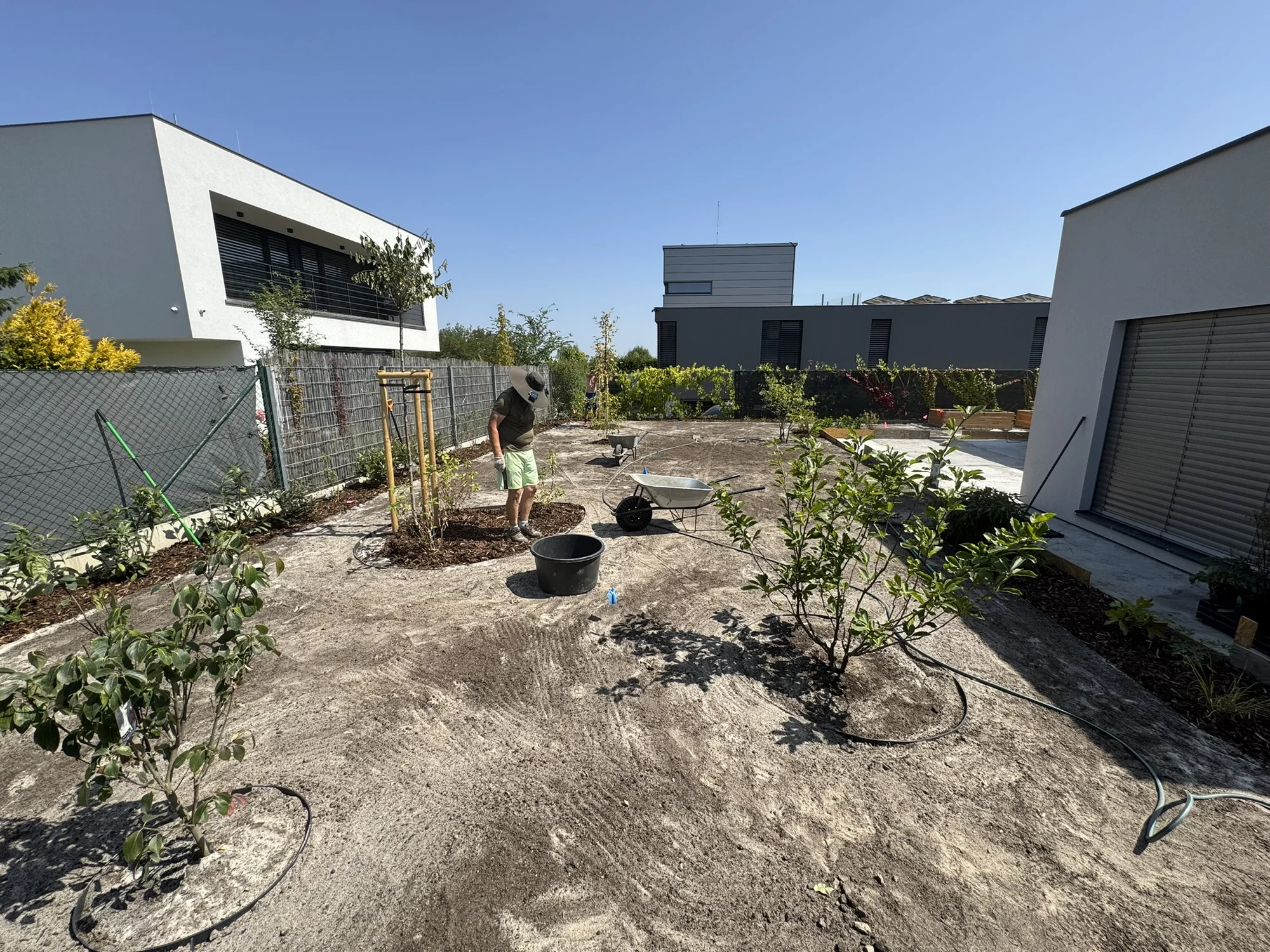 Sezónní zahradničení: praktické kurzy péče o trávník a stromy v každém ročním období