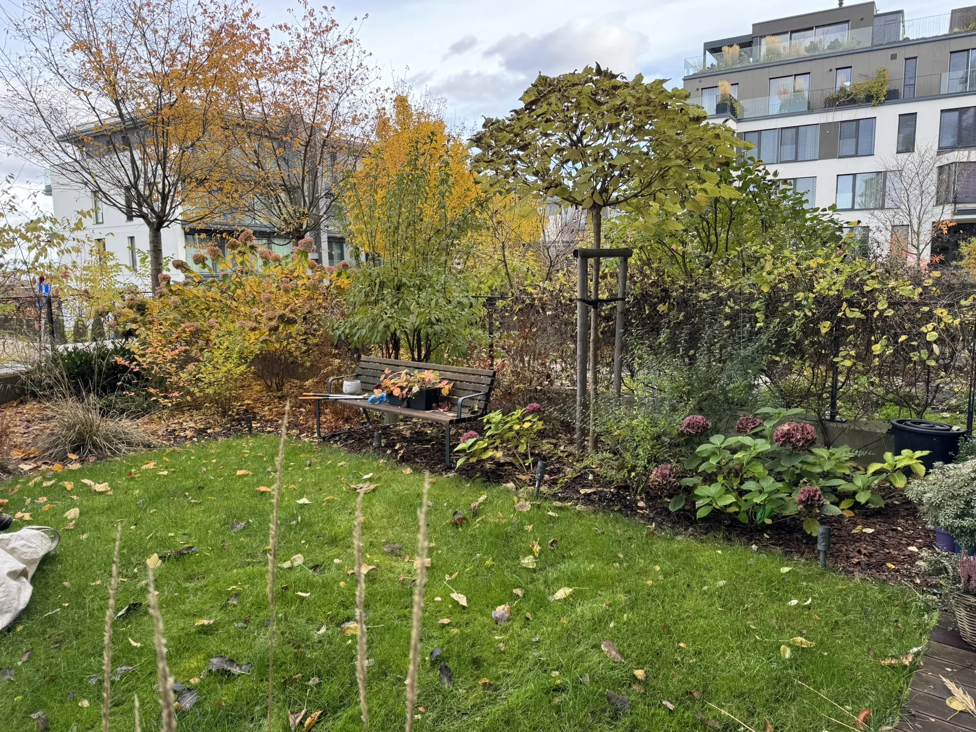 Sezónní zahradničení: praktické kurzy péče o trávník a stromy v každém ročním období