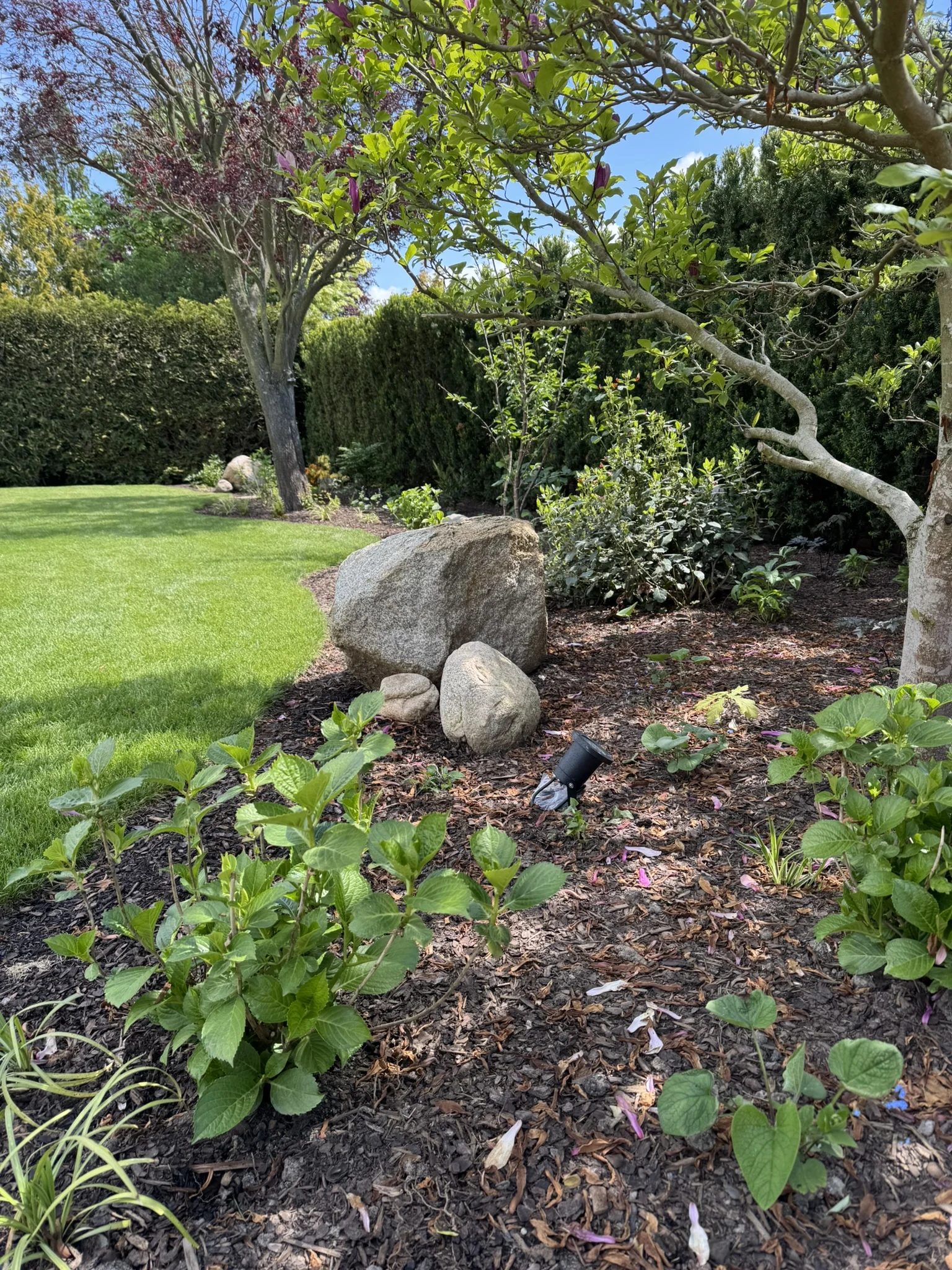 Sezónní zahradničení: praktické kurzy péče o trávník a stromy v každém ročním období