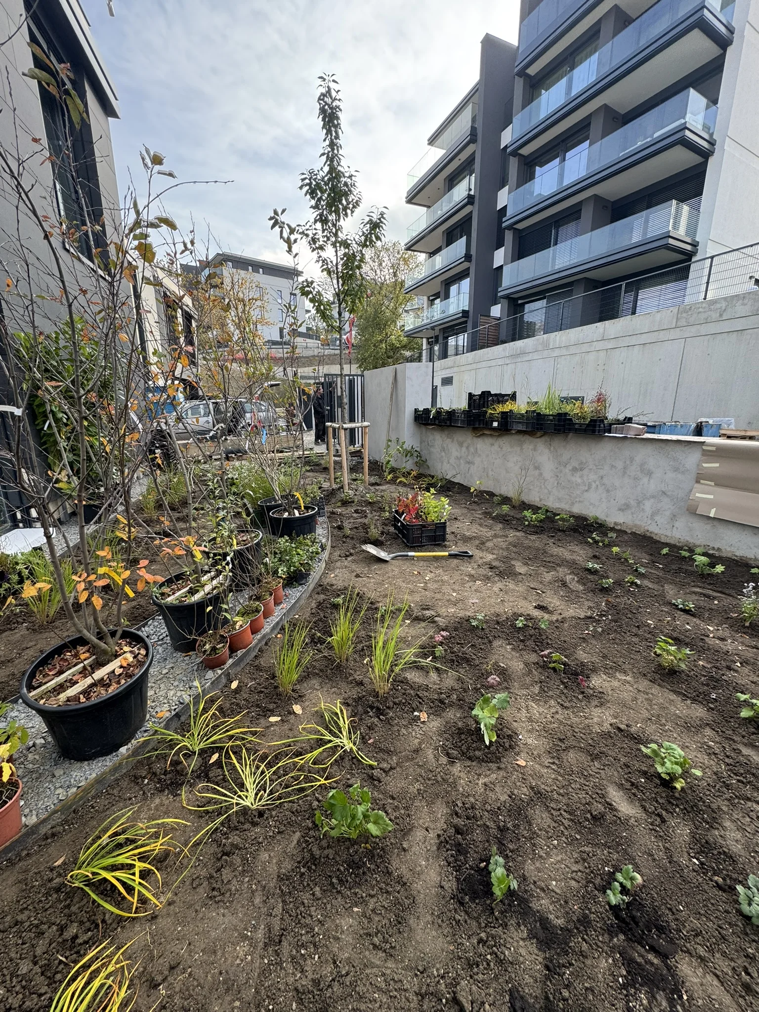 Sezónní zahradničení: praktické kurzy péče o trávník a stromy v každém ročním období