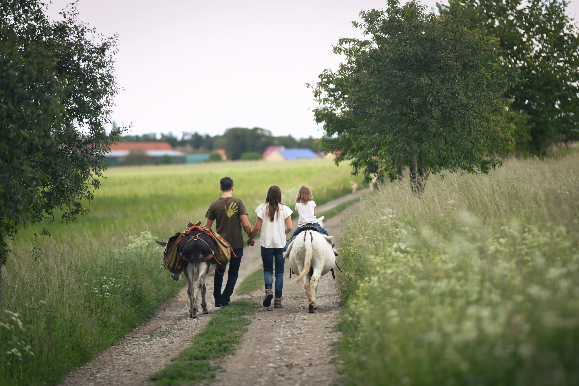 Rodinná návštěva Oslí stezky: prohlídka farmy, trail park a svezení pro děti i túra s piknikem