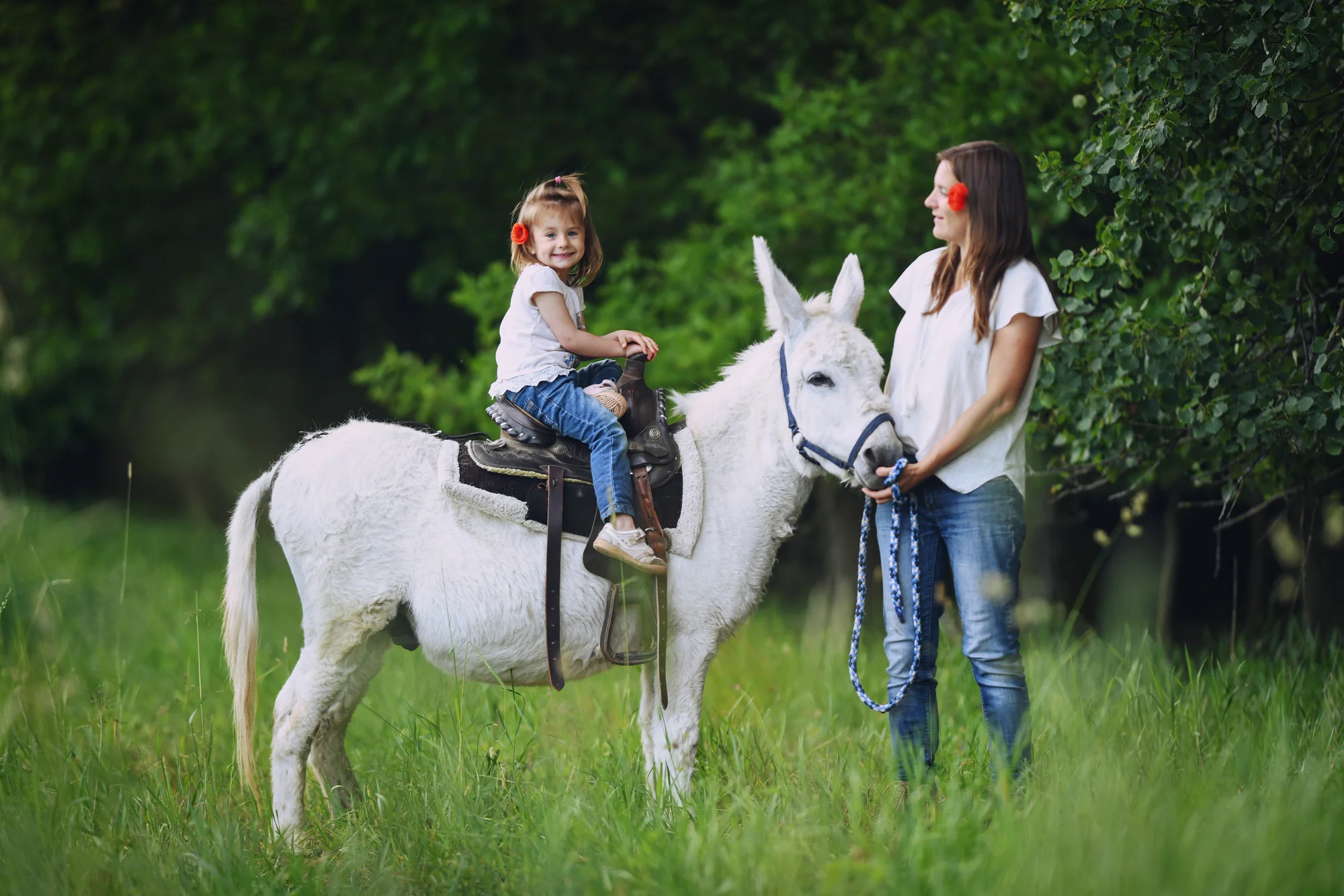 Rodinná návštěva Oslí stezky: prohlídka farmy, trail park a svezení pro děti i túra s piknikem