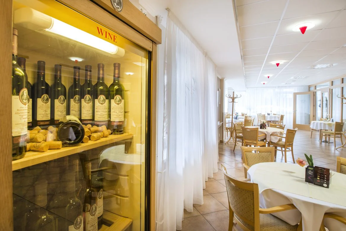 Pobyt v Posázaví: strava, veřejné i privátní wellness, plný minibar i večeře při svíčkách