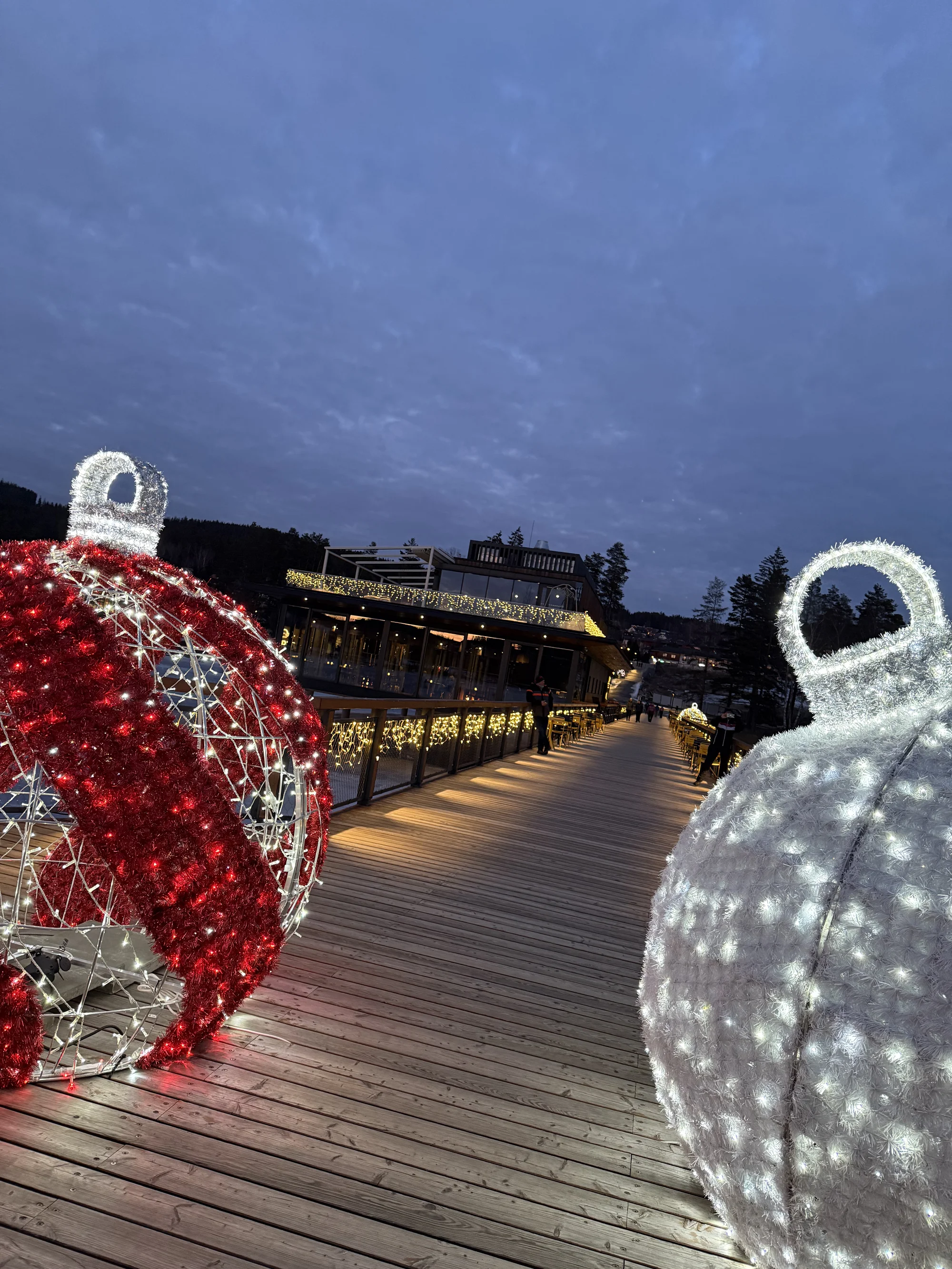 Krásný apartmán na Lipně až pro 6 osob jen kousek od stezky v korunách