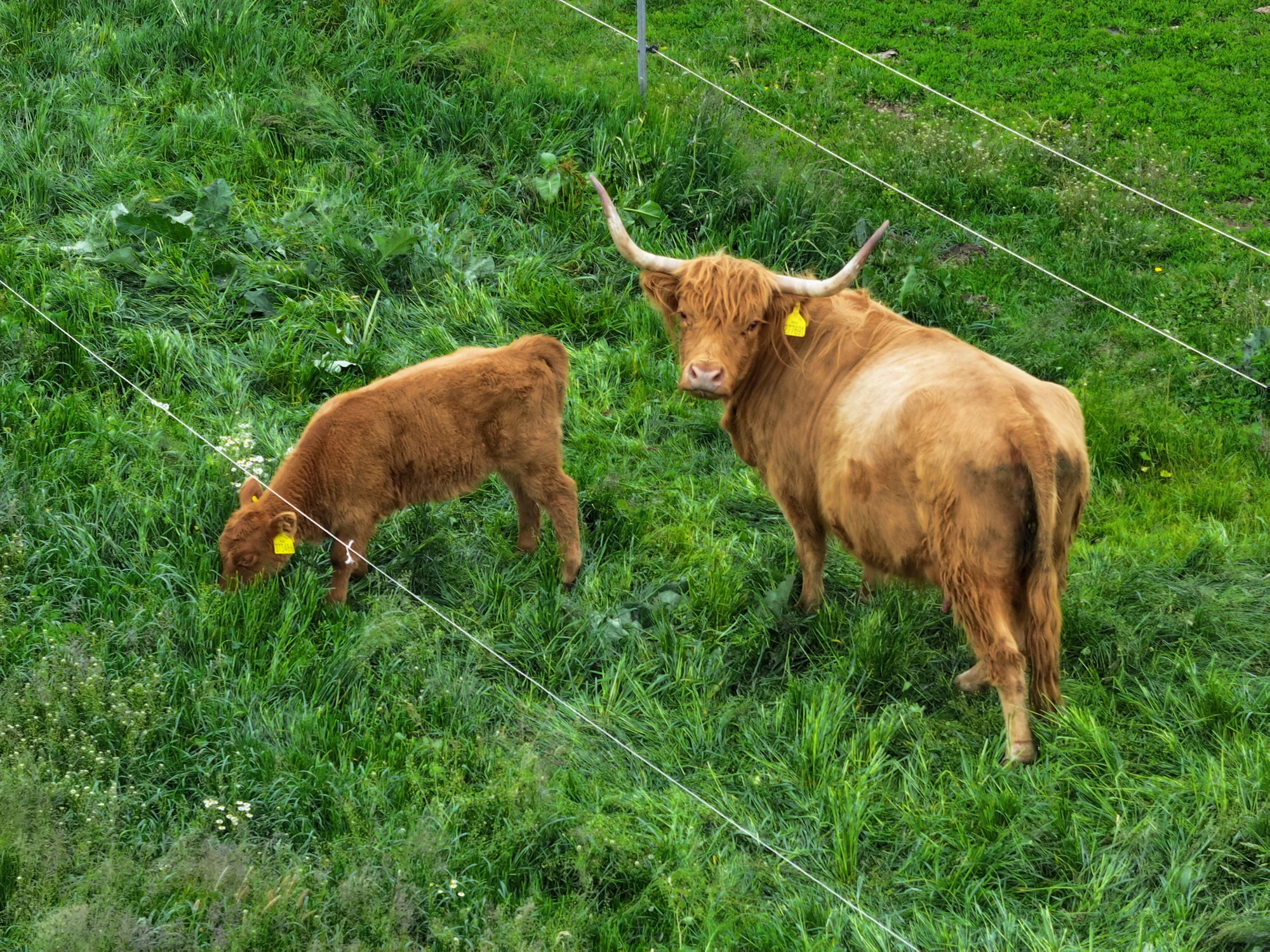 Relax kousek od Boskovic: pobyt se snídaní či polopenzí nebo i pivní lázní