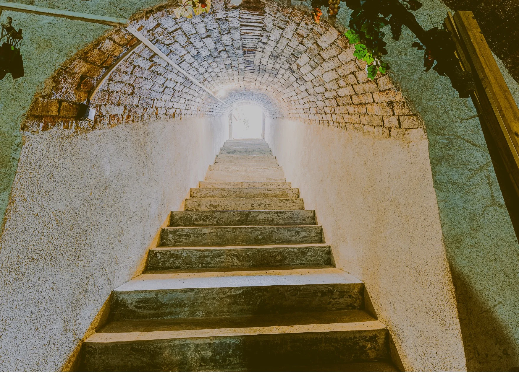 Úniková hra Vinařův poklad s posezením na Znojemsku pro 2–6 osob