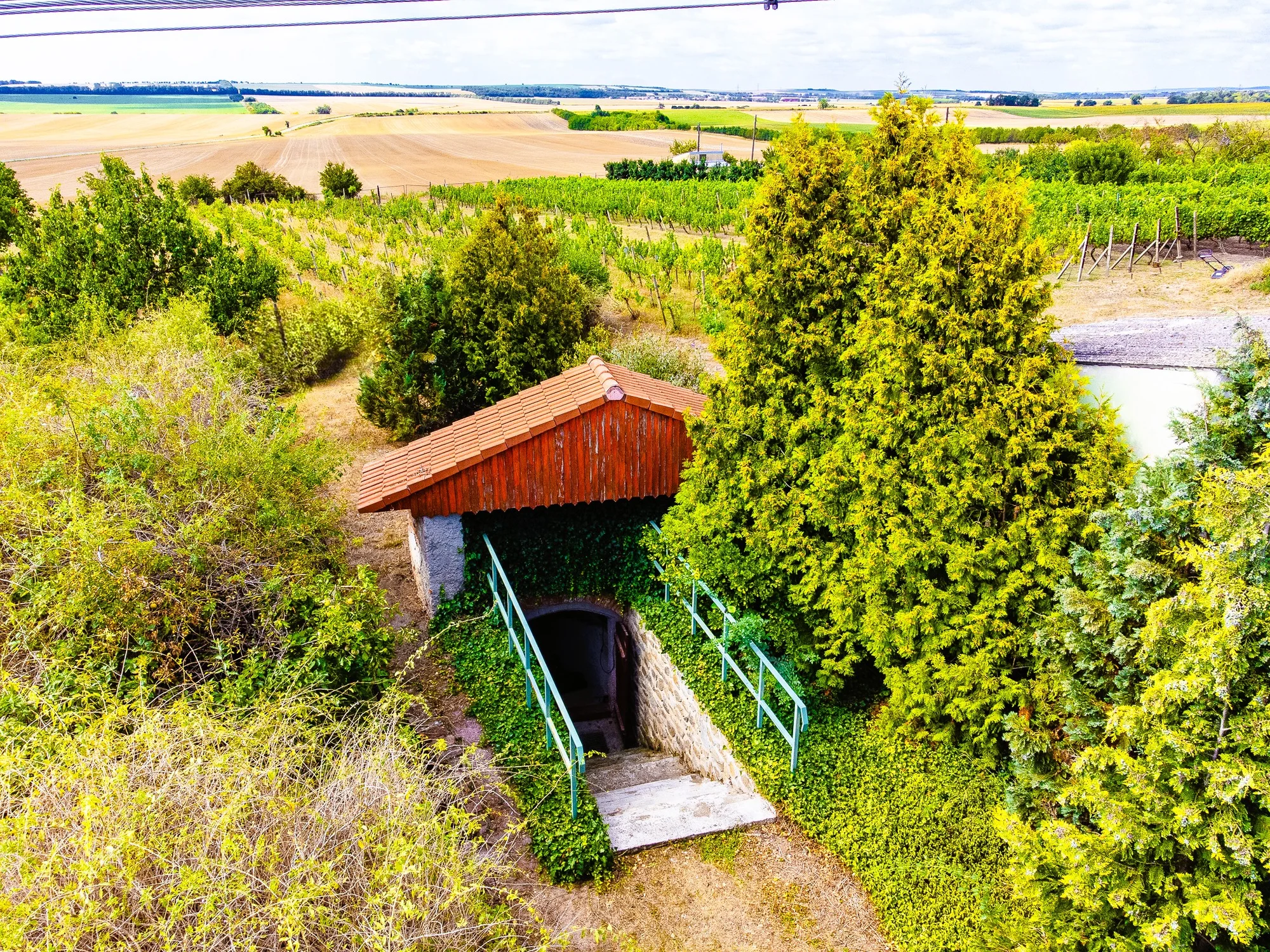 Úniková hra Vinařův poklad s posezením na Znojemsku pro 2–6 osob