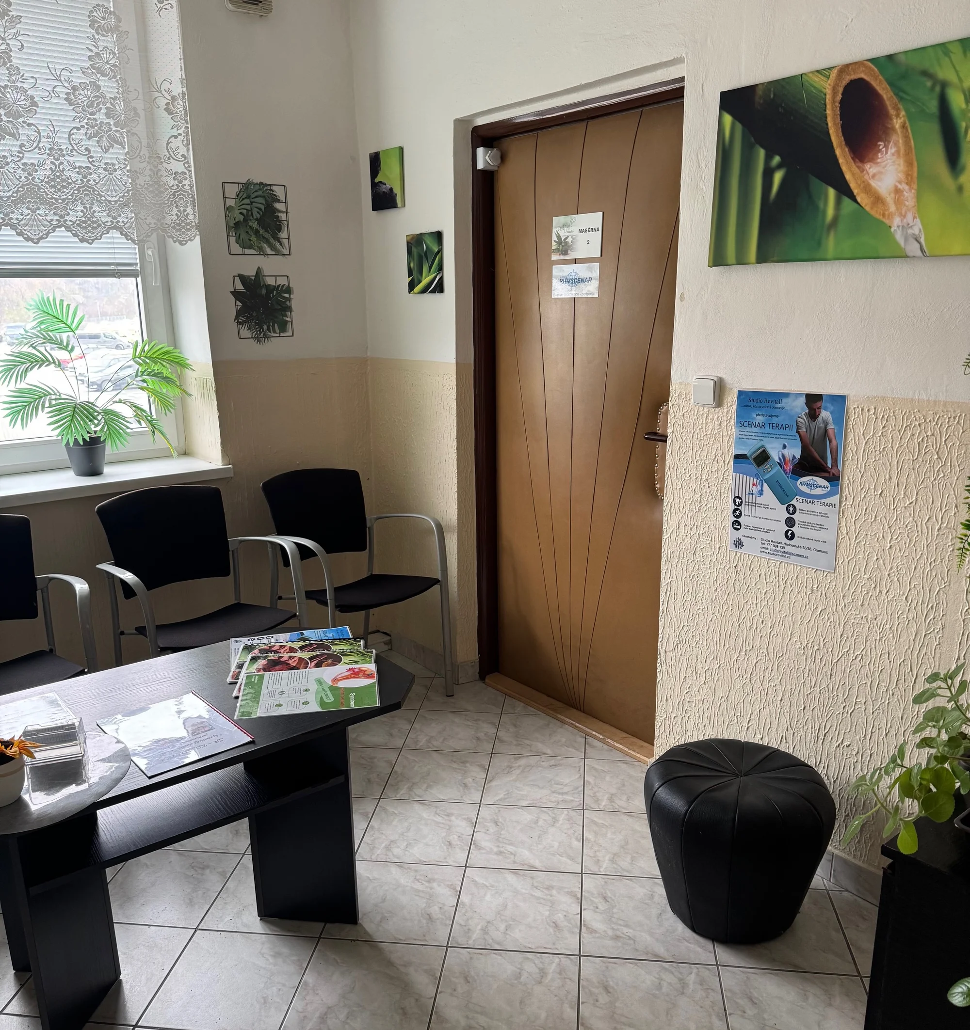 Intenzivní zážitek na rozproudění energie: mongolská masáž síly na 50 minut