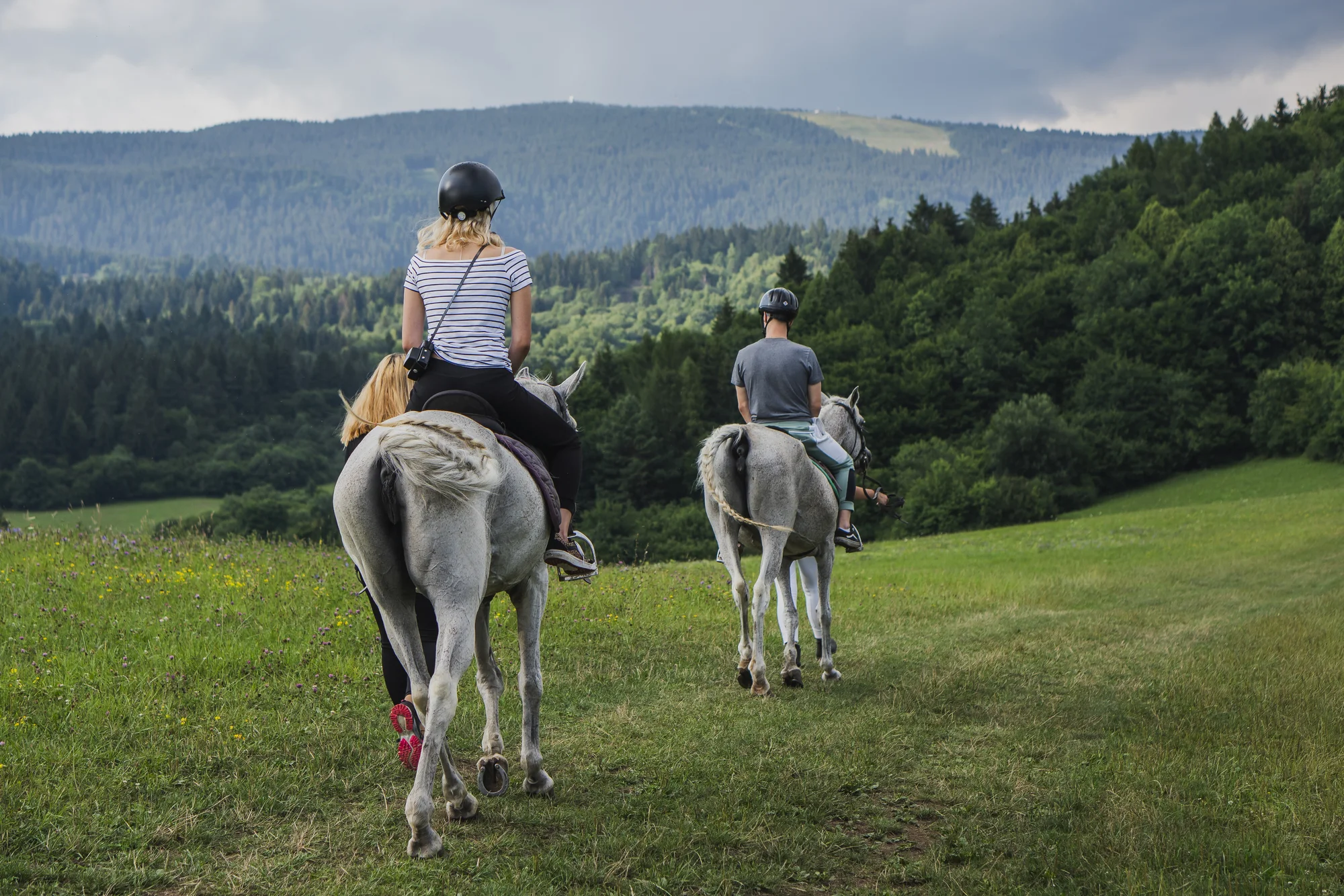 Pobyt v domečku v korunách stromů v srdci oravské přírody pro 2 až 4 osoby