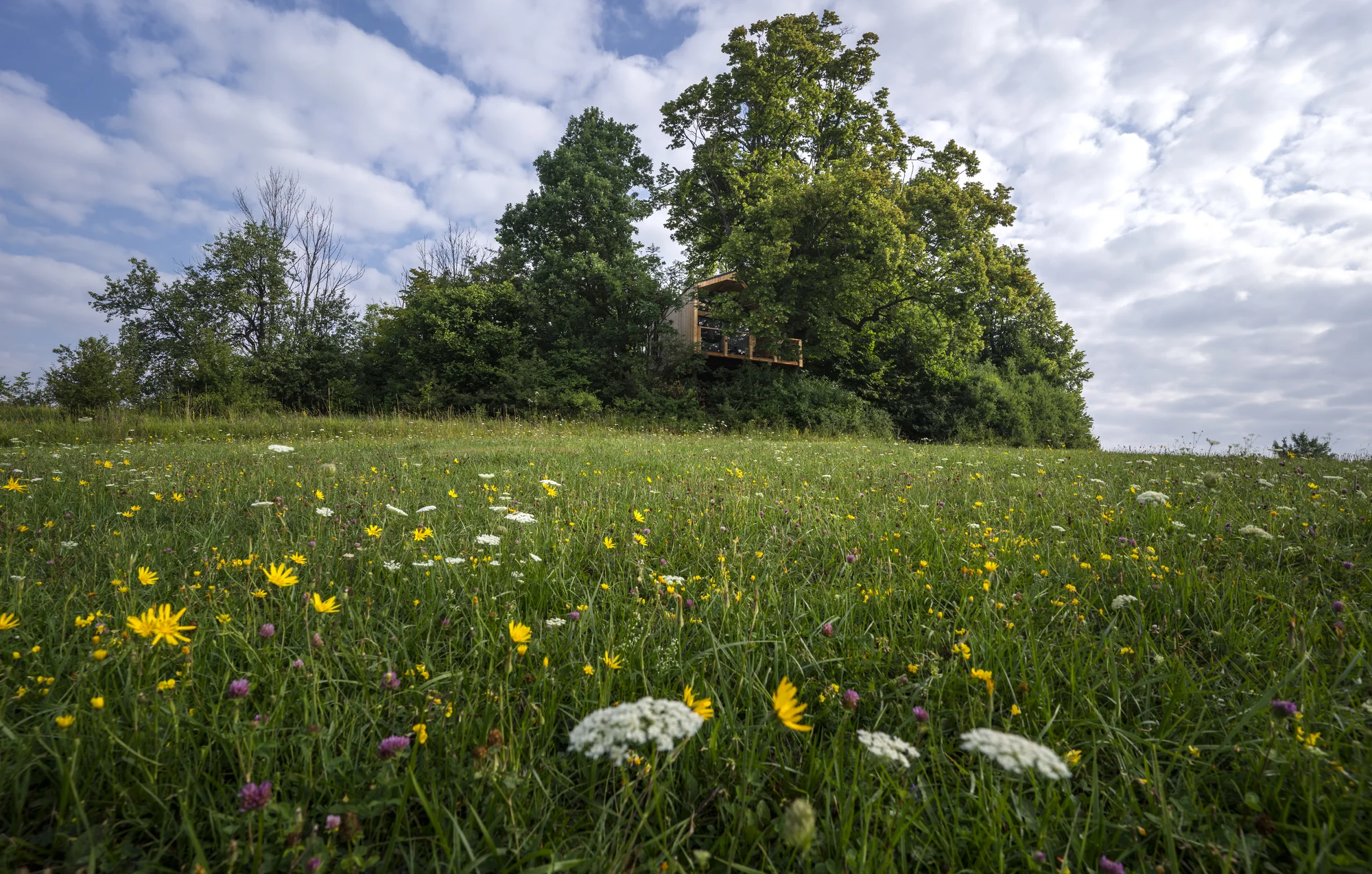 Pobyt v domečku v korunách stromů v srdci oravské přírody pro 2 až 4 osoby