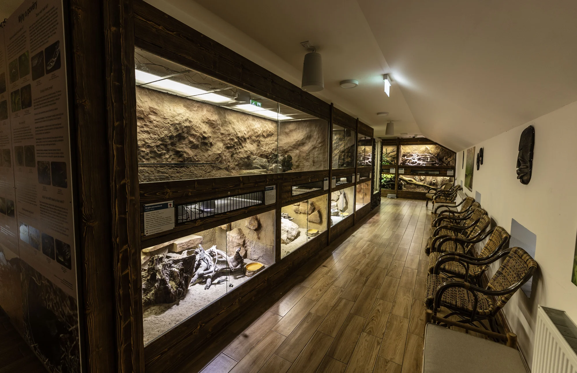 Hadi, ještěři i pavouci: vstupenky do Světa plazů pro děti, dospělé i studenty