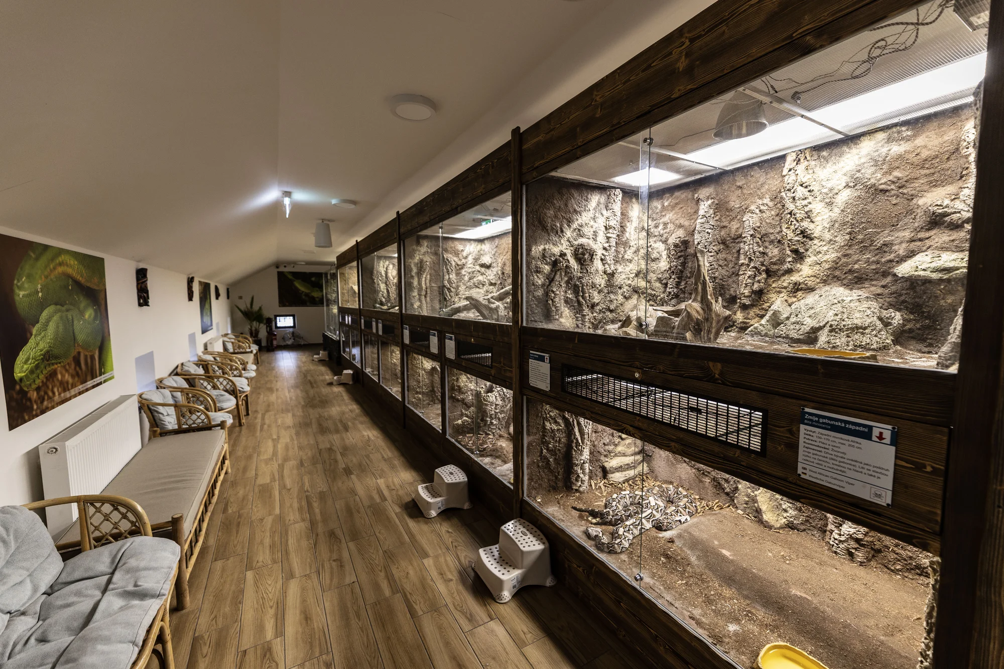 Hadi, ještěři i pavouci: vstupenky do Světa plazů pro děti, dospělé i studenty