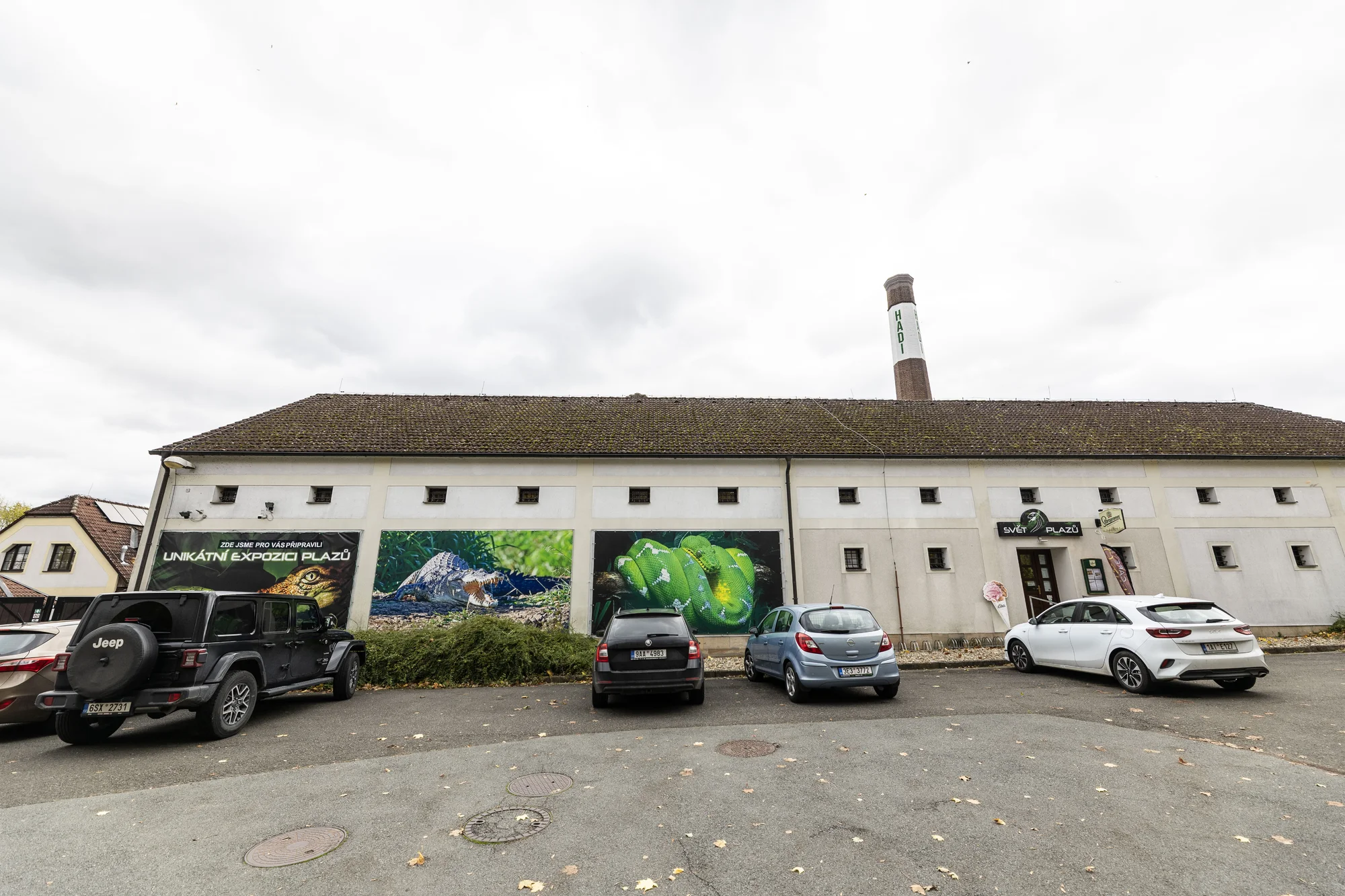 Hadi, ještěři i pavouci: vstupenky do Světa plazů pro děti, dospělé i studenty