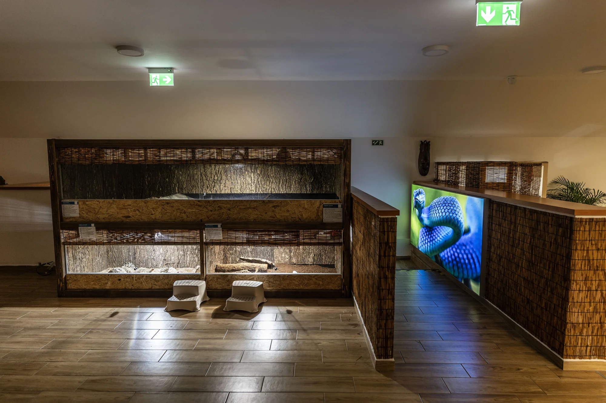 Hadi, ještěři i pavouci: vstupenky do Světa plazů pro děti, dospělé i studenty