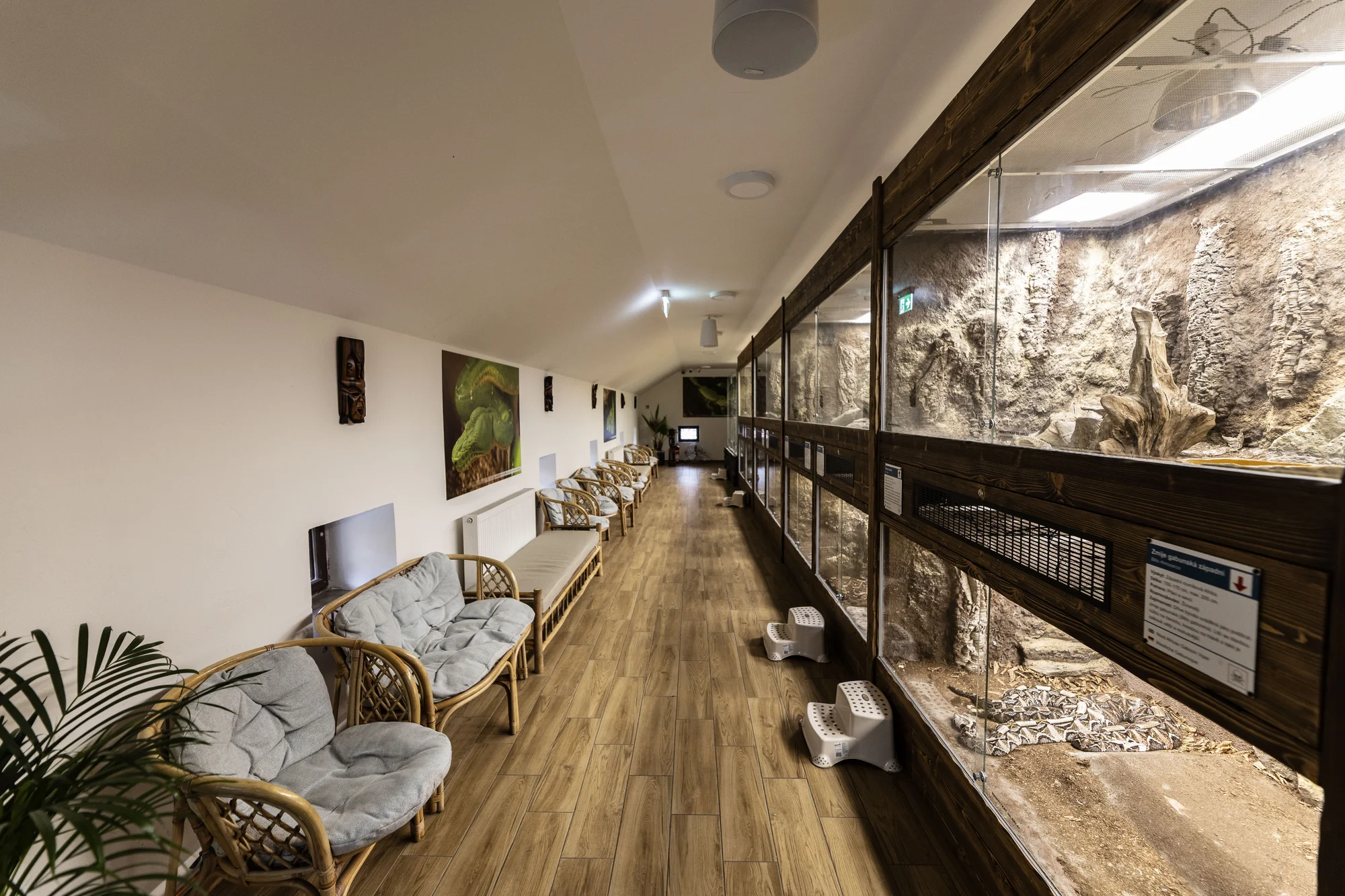 Hadi, ještěři i pavouci: vstupenky do Světa plazů pro děti, dospělé i studenty