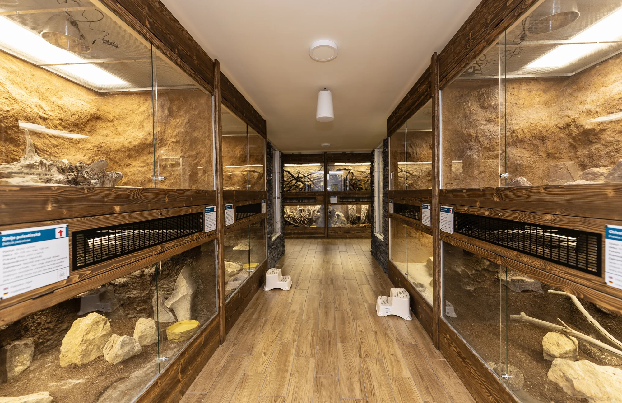 Hadi, ještěři i pavouci: vstupenky do Světa plazů pro děti, dospělé i studenty