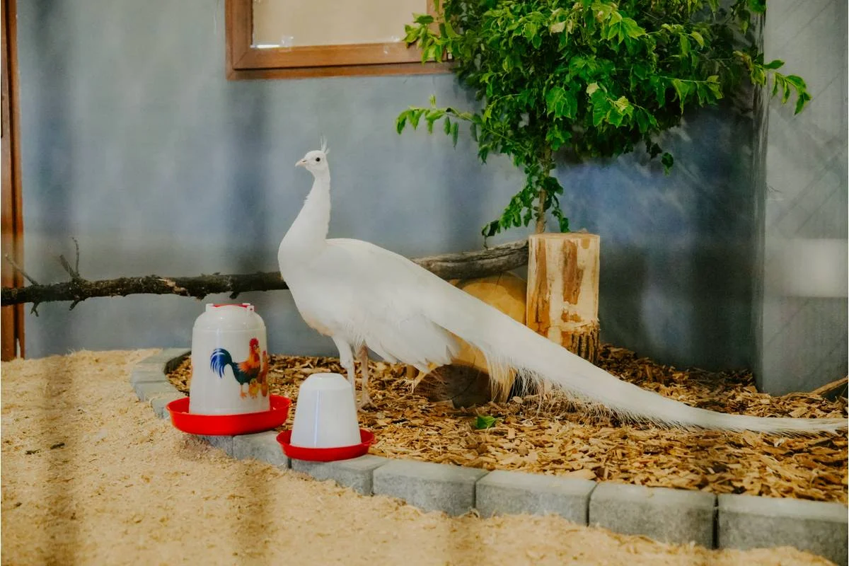 Pobyt v resortu Masarykov dvor na Podpoľaní: strava i wellness a slevy na atrakce