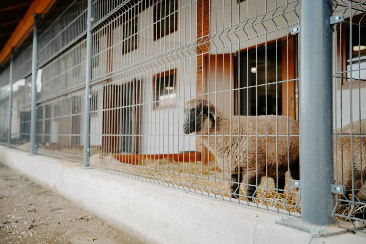 Pobyt v resortu Masarykov dvor na Podpoľaní: strava i wellness a slevy na atrakce