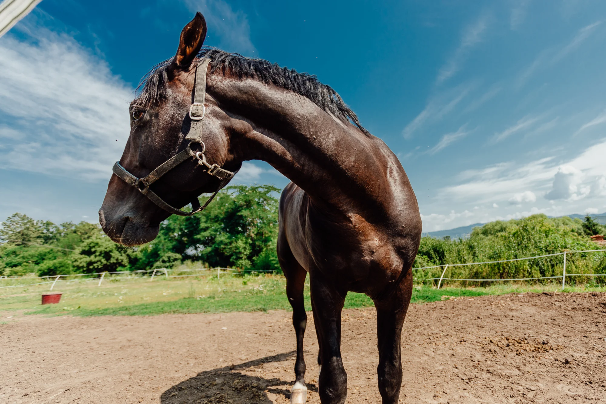 Pobyt v resortu Masarykov dvor na Podpoľaní: strava i wellness a slevy na atrakce