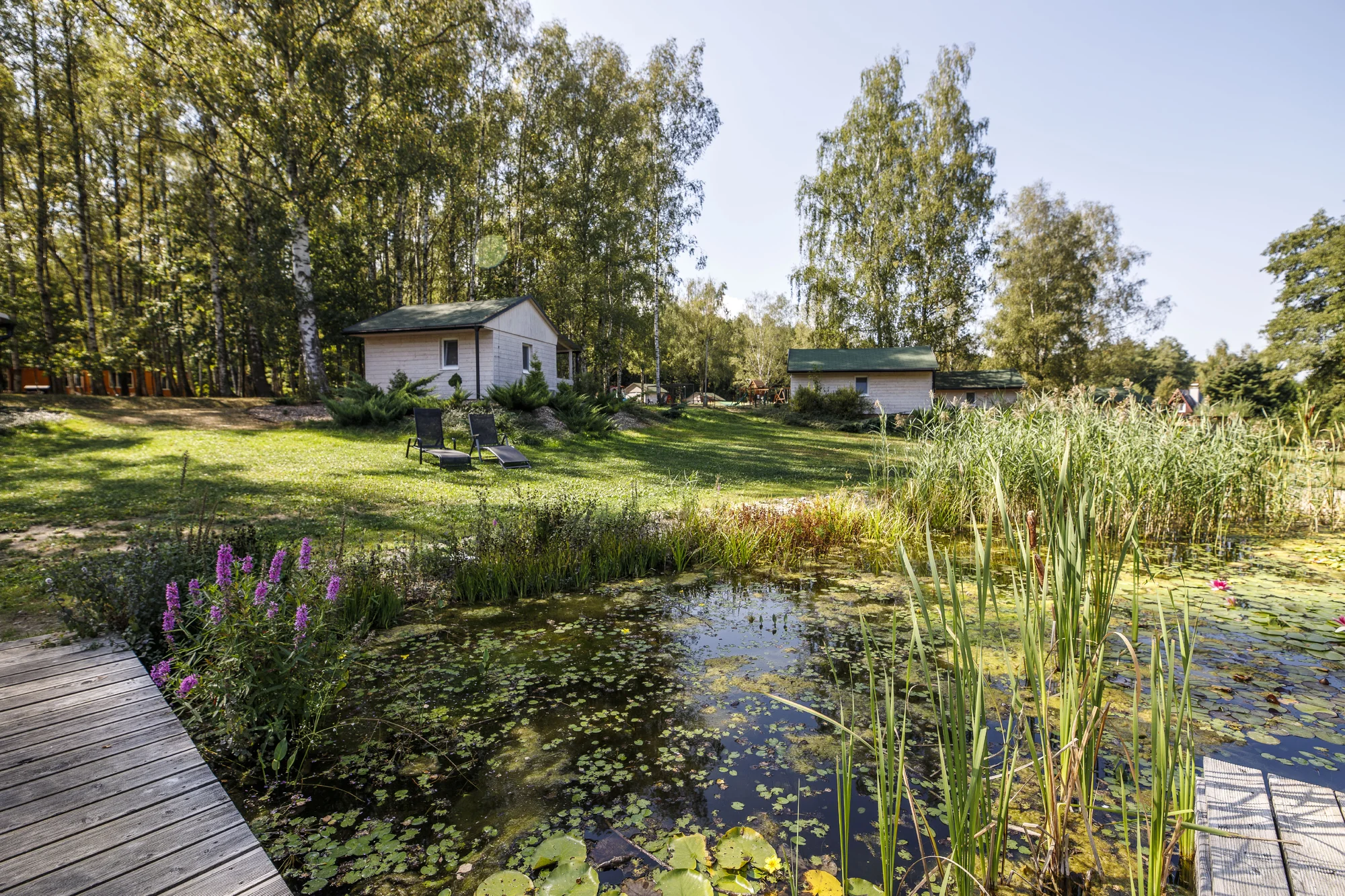 Útulné chatky u rybníka na úpatí Orlických hor pro pár i rodinu: jídlo, sauny a biotop