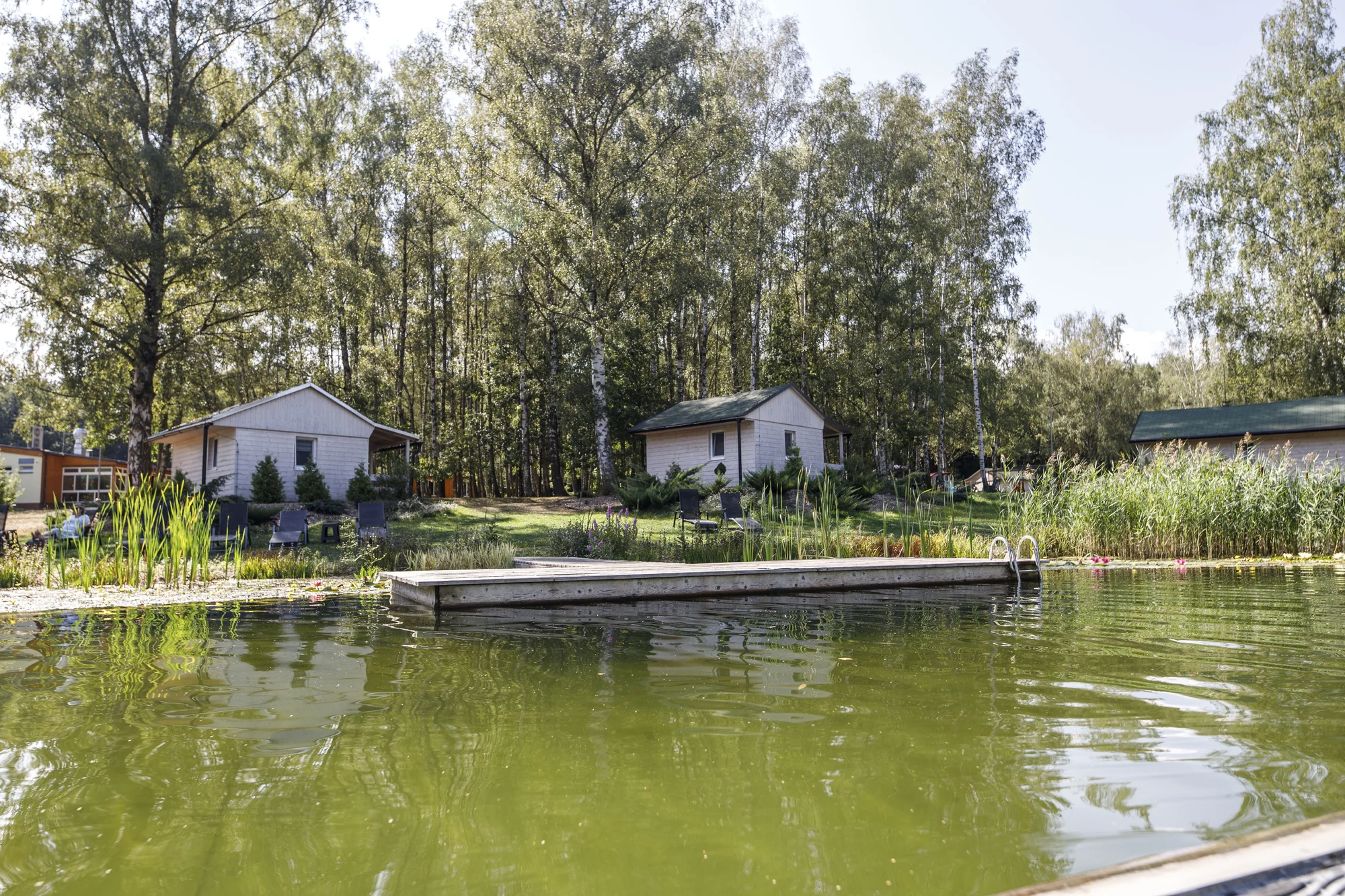 Útulné chatky u rybníka na úpatí Orlických hor pro pár i rodinu: jídlo, sauny a biotop