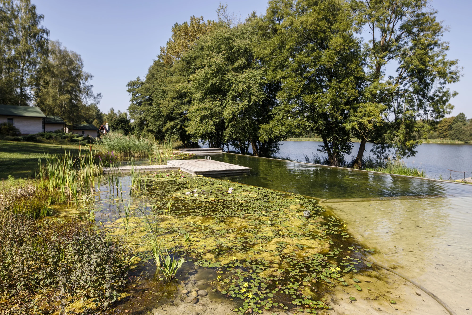 Útulné chatky u rybníka na úpatí Orlických hor pro pár i rodinu: jídlo, sauny a biotop