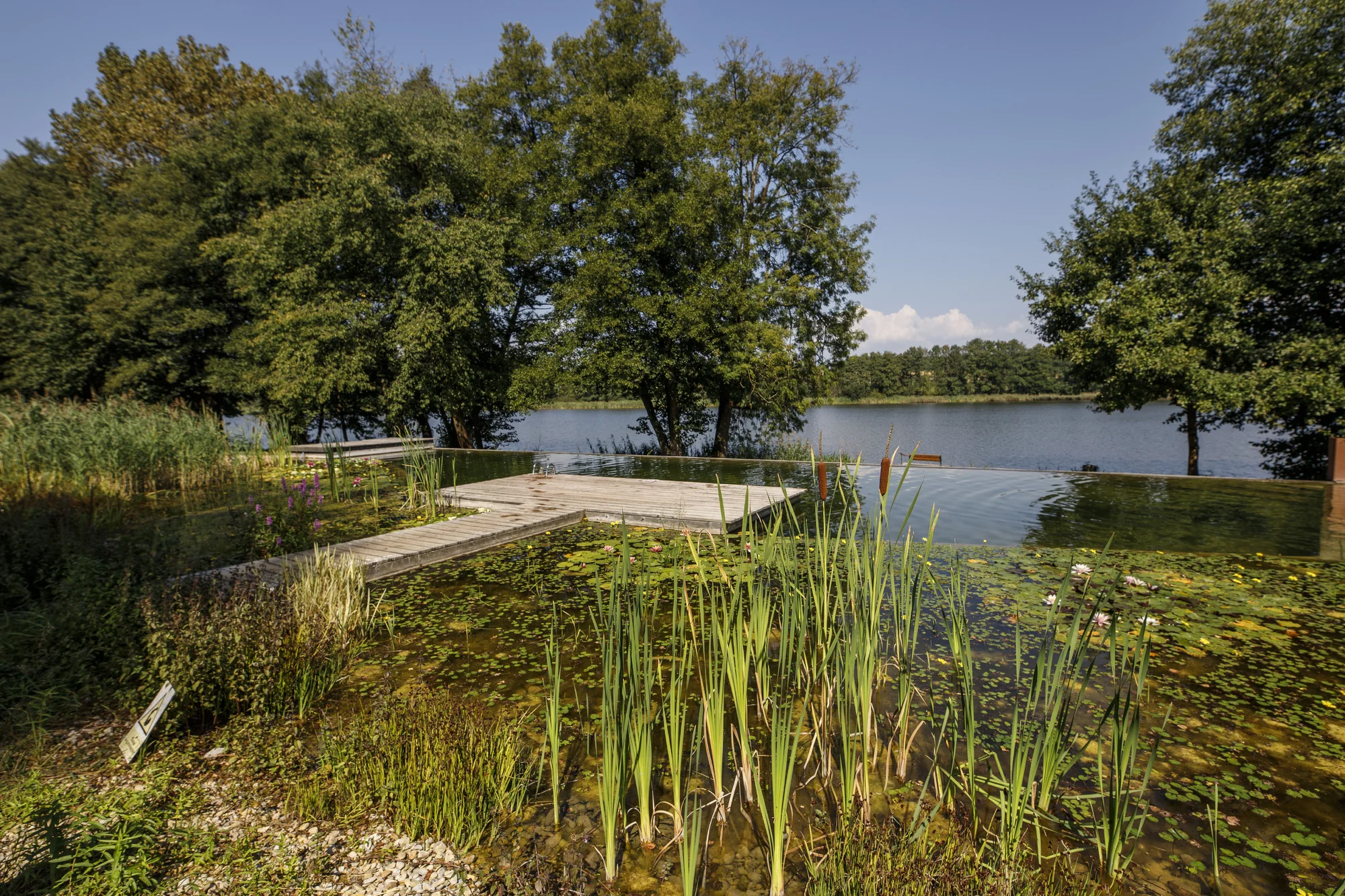 Útulné chatky u rybníka na úpatí Orlických hor pro pár i rodinu: jídlo, sauny a biotop