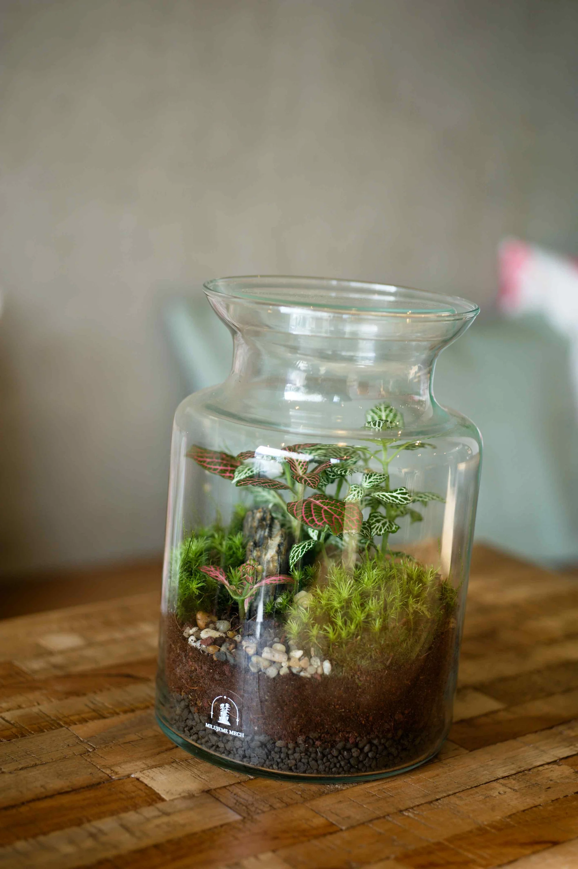 Kreativní workshop: vytvořte si vlastní mechárium a přineste si kousek přírody domů