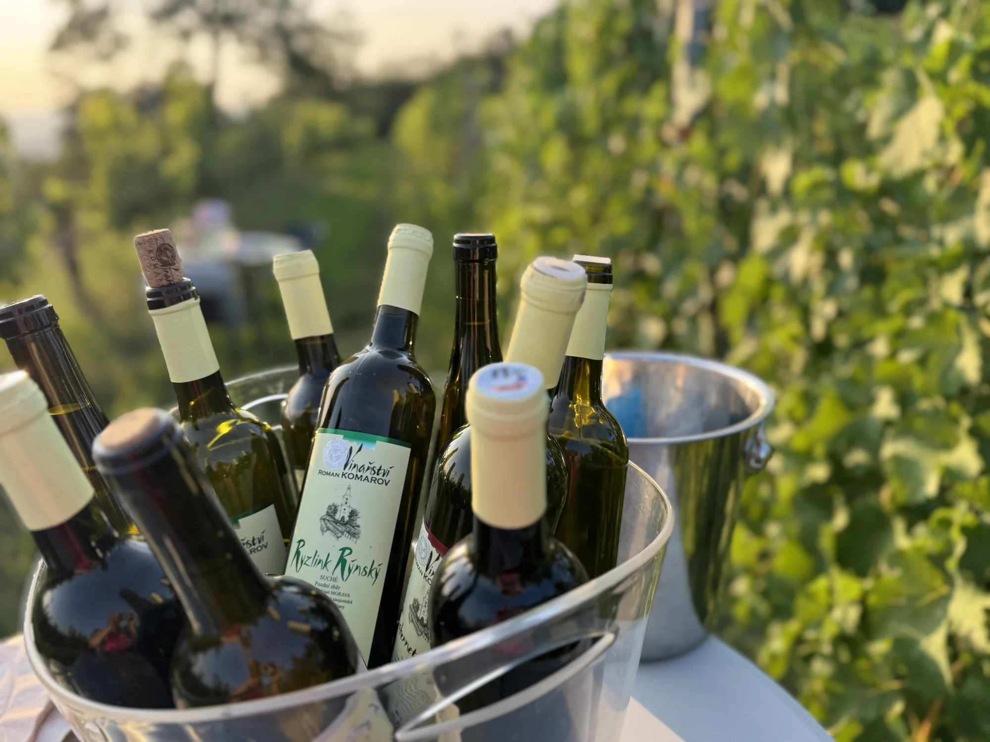 Degustace vín a romantický piknik ve vinici na jižní Moravě pro 2 osoby