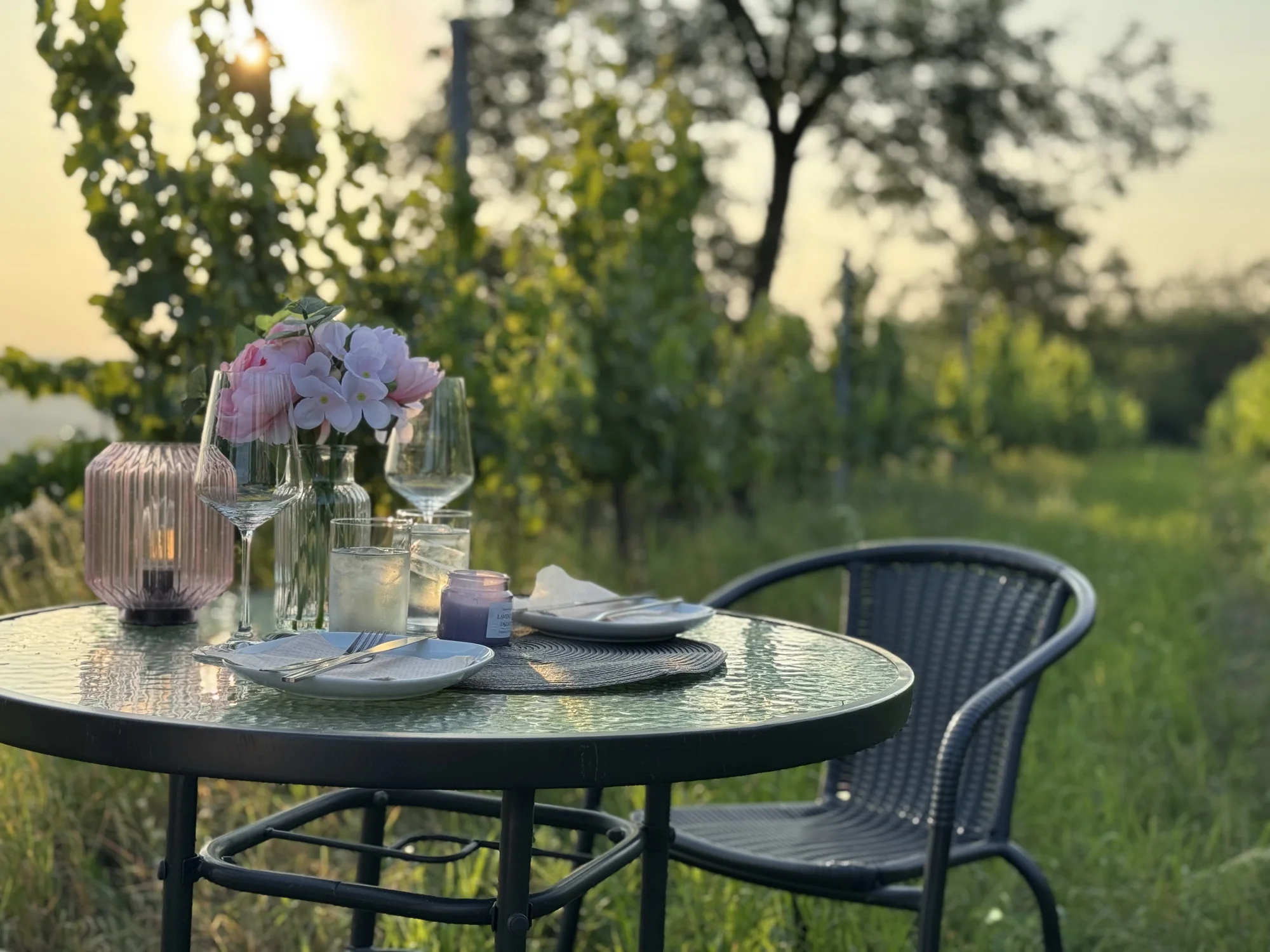 Degustace vín a romantický piknik ve vinici na jižní Moravě pro 2 osoby