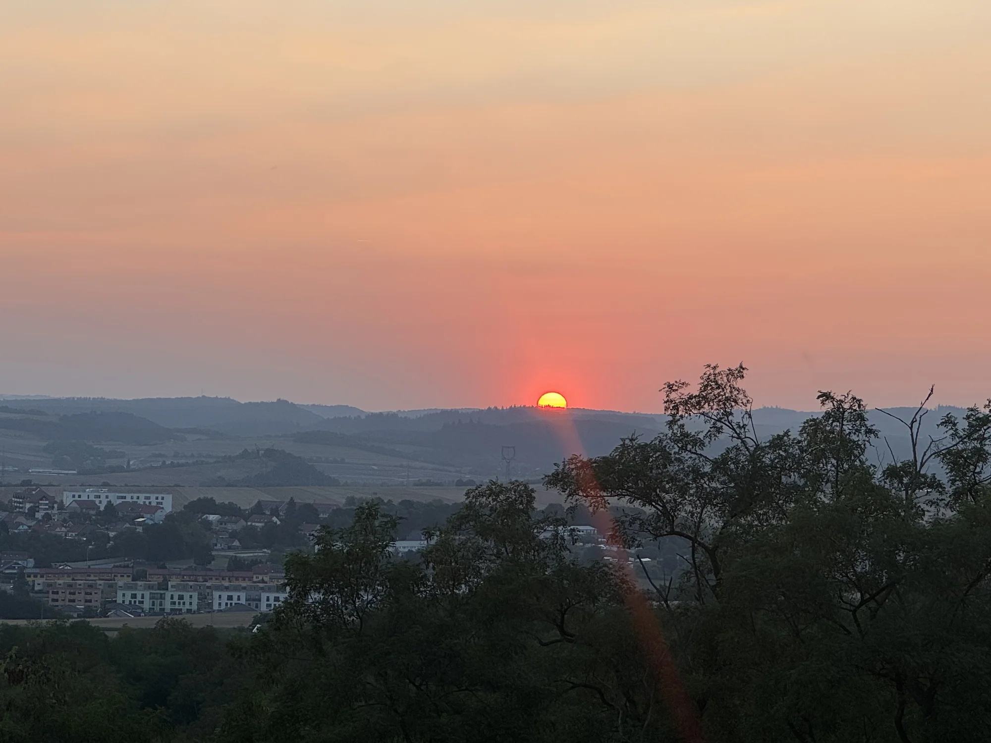 Degustace vín a romantický piknik ve vinici na jižní Moravě pro 2 osoby