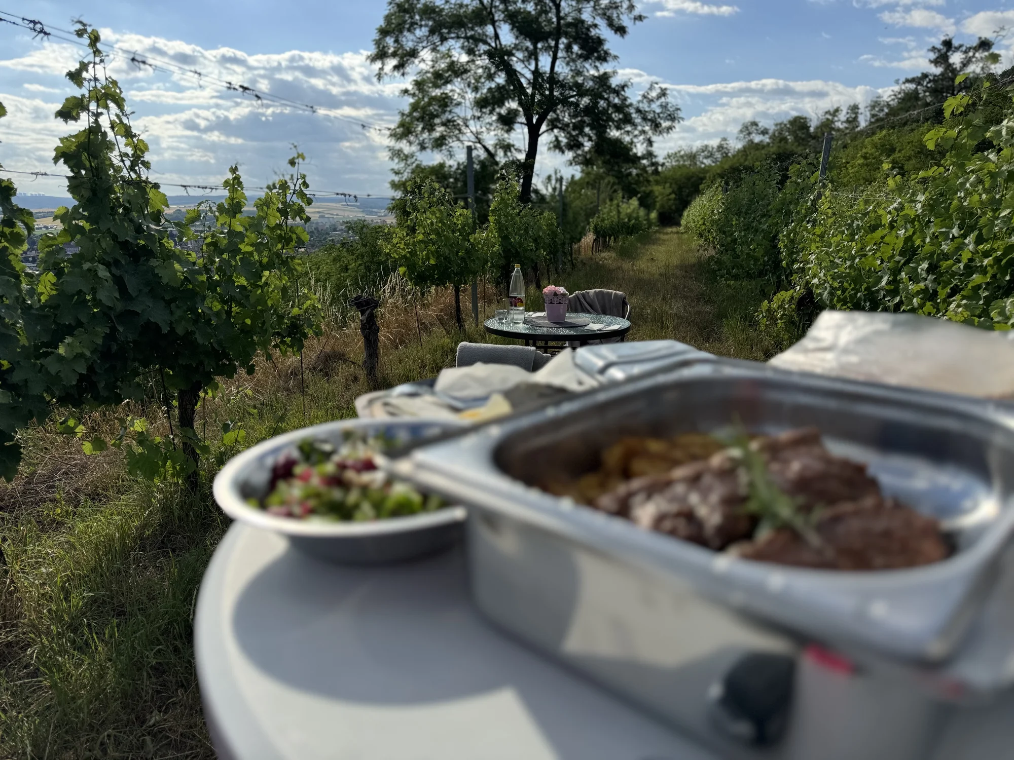 Zážitková večeře uprostřed vinice s degustací, lahví vína a prohlídkou pro dva