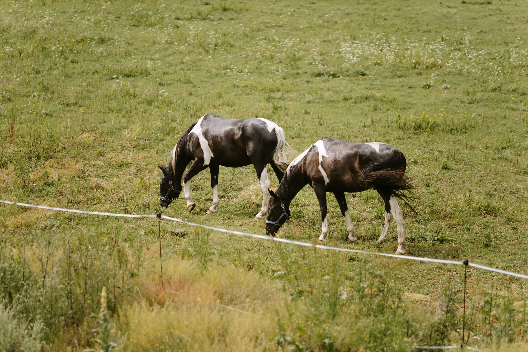 Apartmán v Jeseníkách: vlastní vířivka, masážní křeslo i možnost luxusní snídaně
