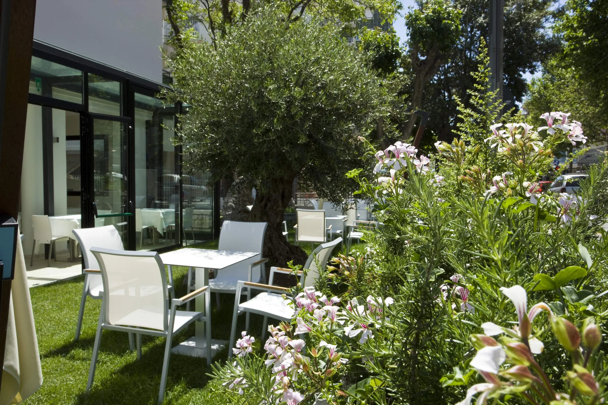 Relax v Rimini: hotel přímo u pláže, snídaně, polopenze nebo plná penze, bazén i wellness