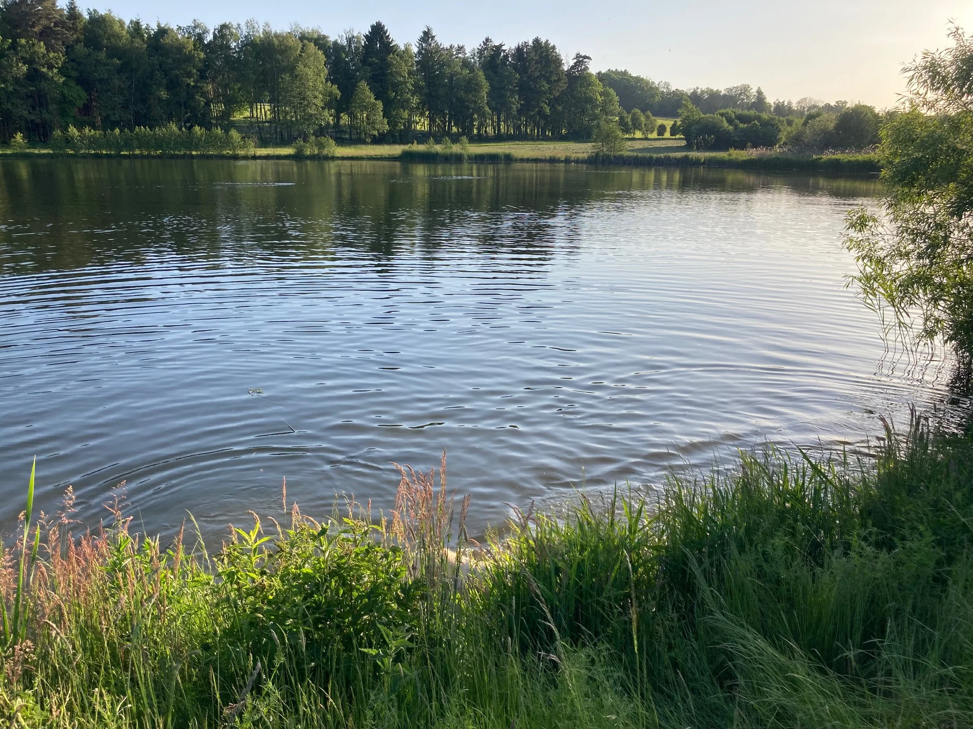 Stylová jurta nedaleko Blaníku s možností snídaně pro dva i rodinu