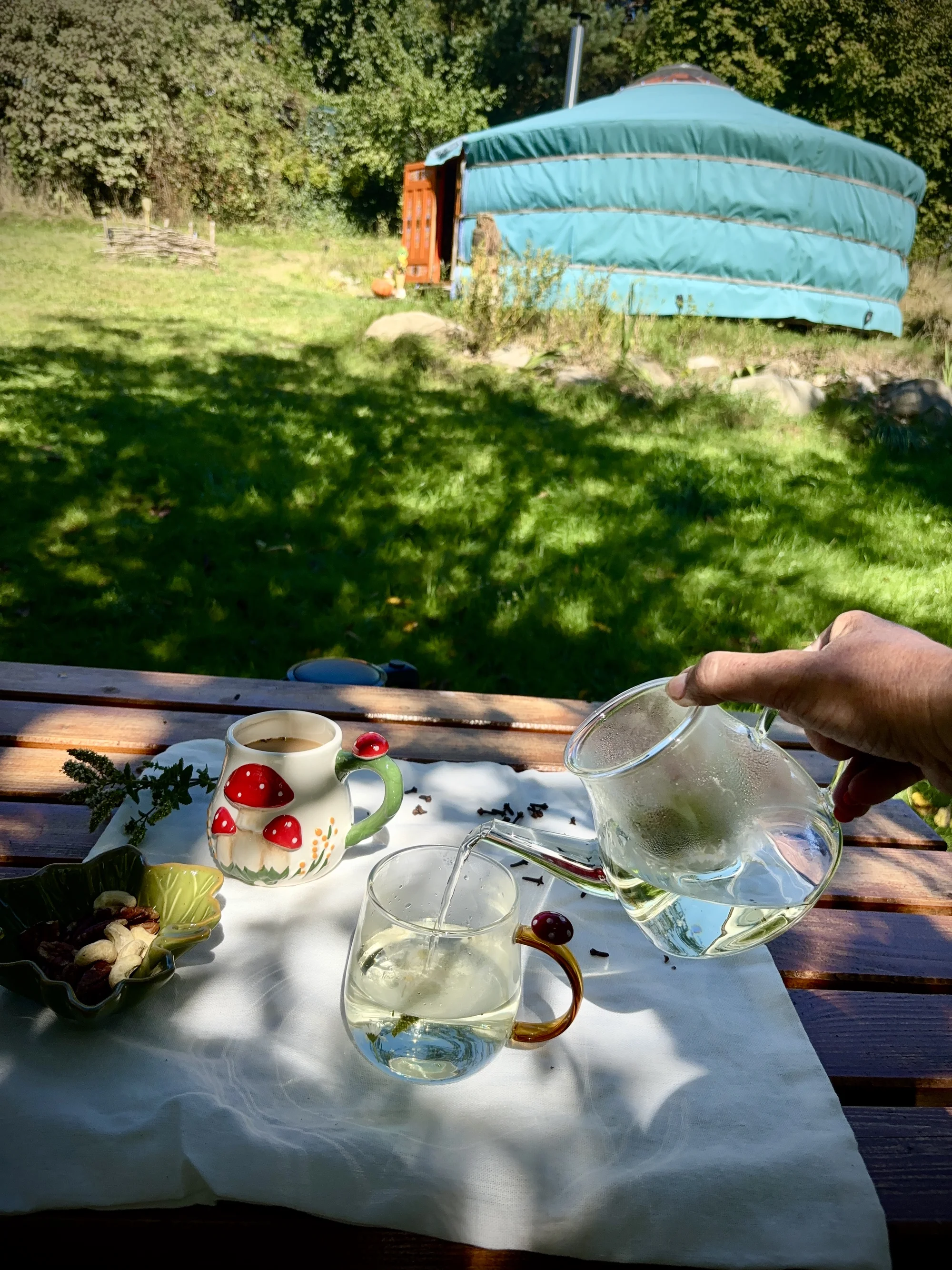 Stylová jurta nedaleko Blaníku s možností snídaně pro dva i rodinu