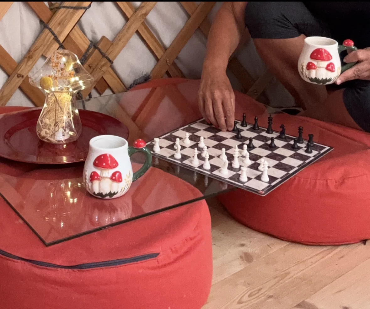 Stylová jurta nedaleko Blaníku s možností snídaně pro dva i rodinu