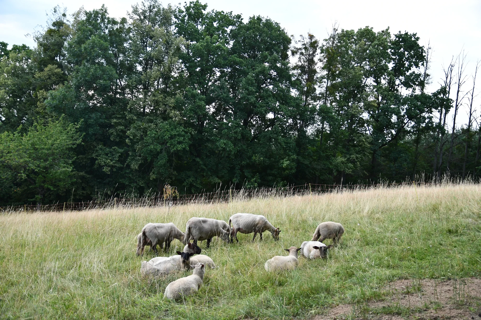Jurta v Toulavě: areál statku uprostřed přírody a vyžití pro děti