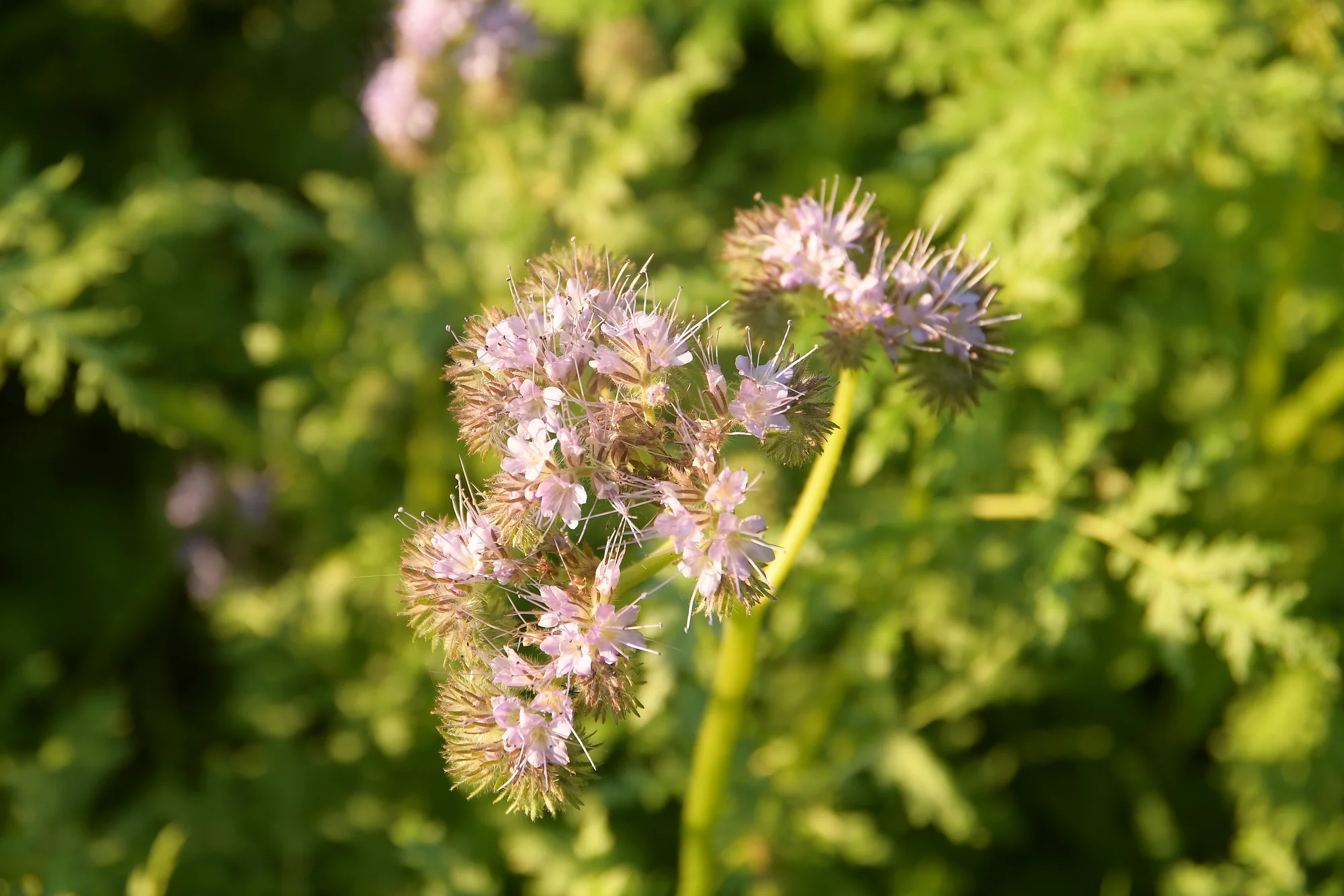 Jurta v Toulavě: areál statku uprostřed přírody a vyžití pro děti