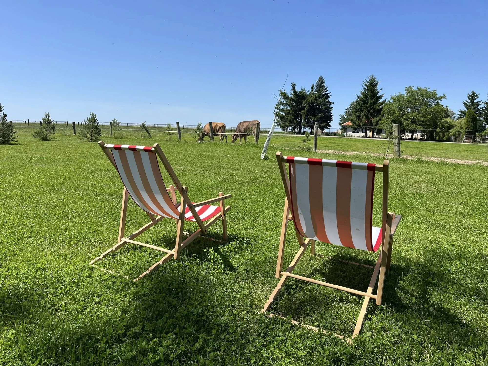 Glamping na farmě v Posázaví pro 5 osob: luxusní stan s výhledem na pastviny a koupací biotop