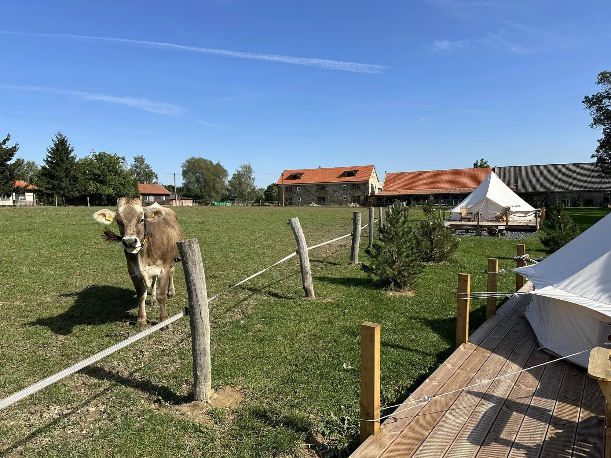 Glamping na farmě v Posázaví pro 5 osob: luxusní stan s výhledem na pastviny a koupací biotop