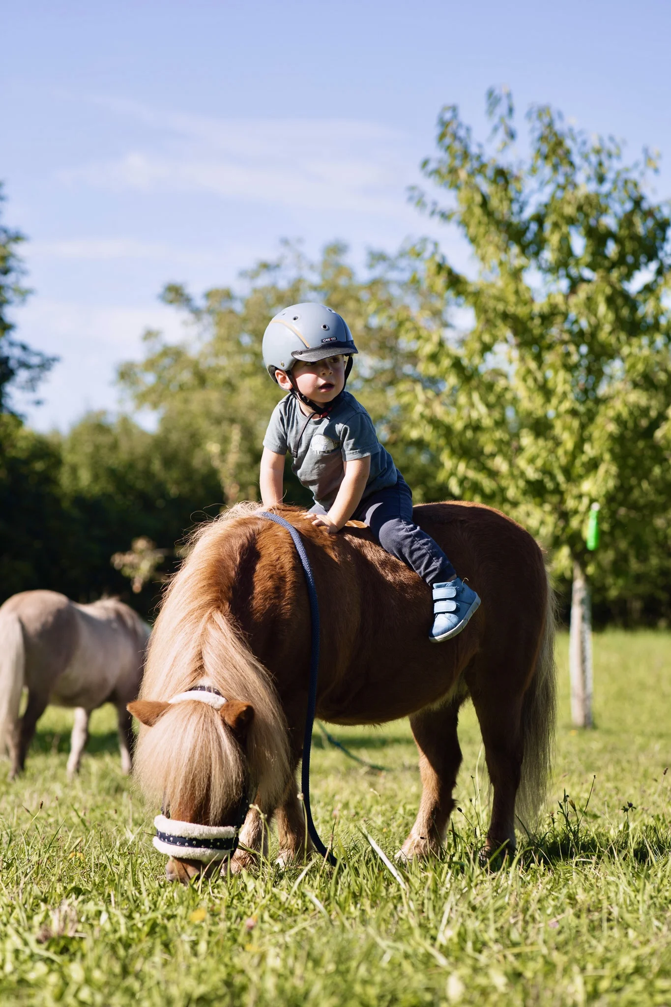 Zážitek na poníkové farmě: péče o poníky i projížďka s hledáním pokladu či plněním úkolů