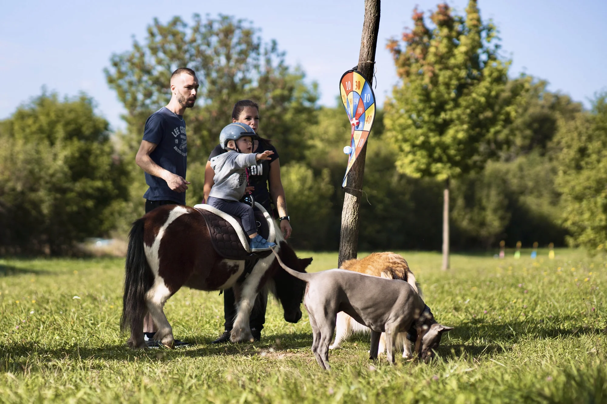 Zážitek na poníkové farmě: péče o poníky i projížďka s hledáním pokladu či plněním úkolů