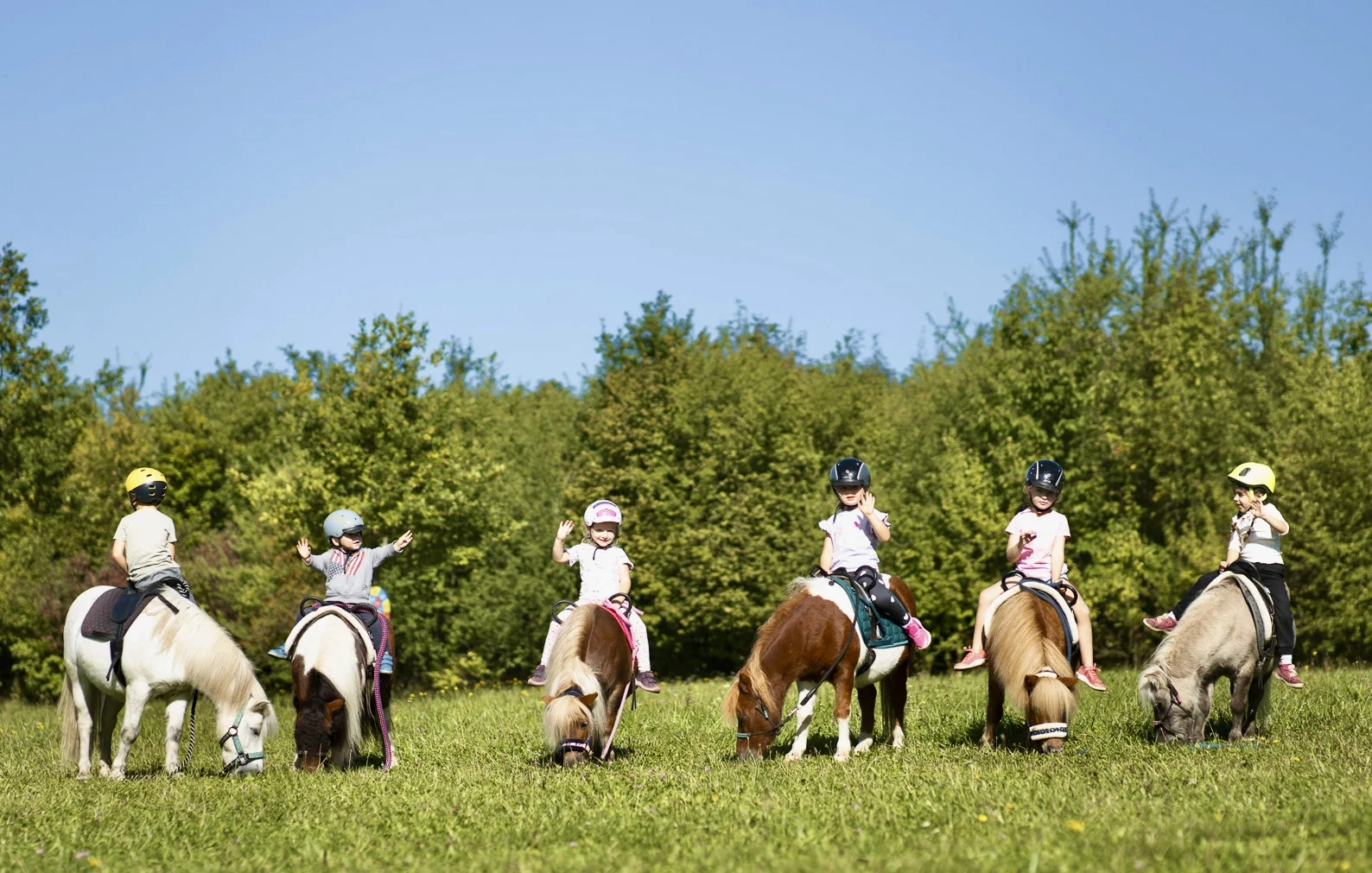 Zážitek na poníkové farmě: péče o poníky i projížďka s hledáním pokladu či plněním úkolů