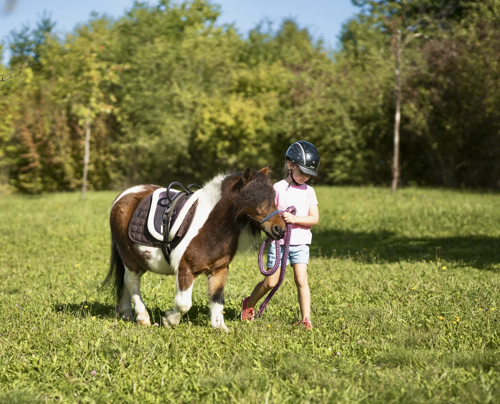 Zážitek na poníkové farmě: péče o poníky i projížďka s hledáním pokladu či plněním úkolů