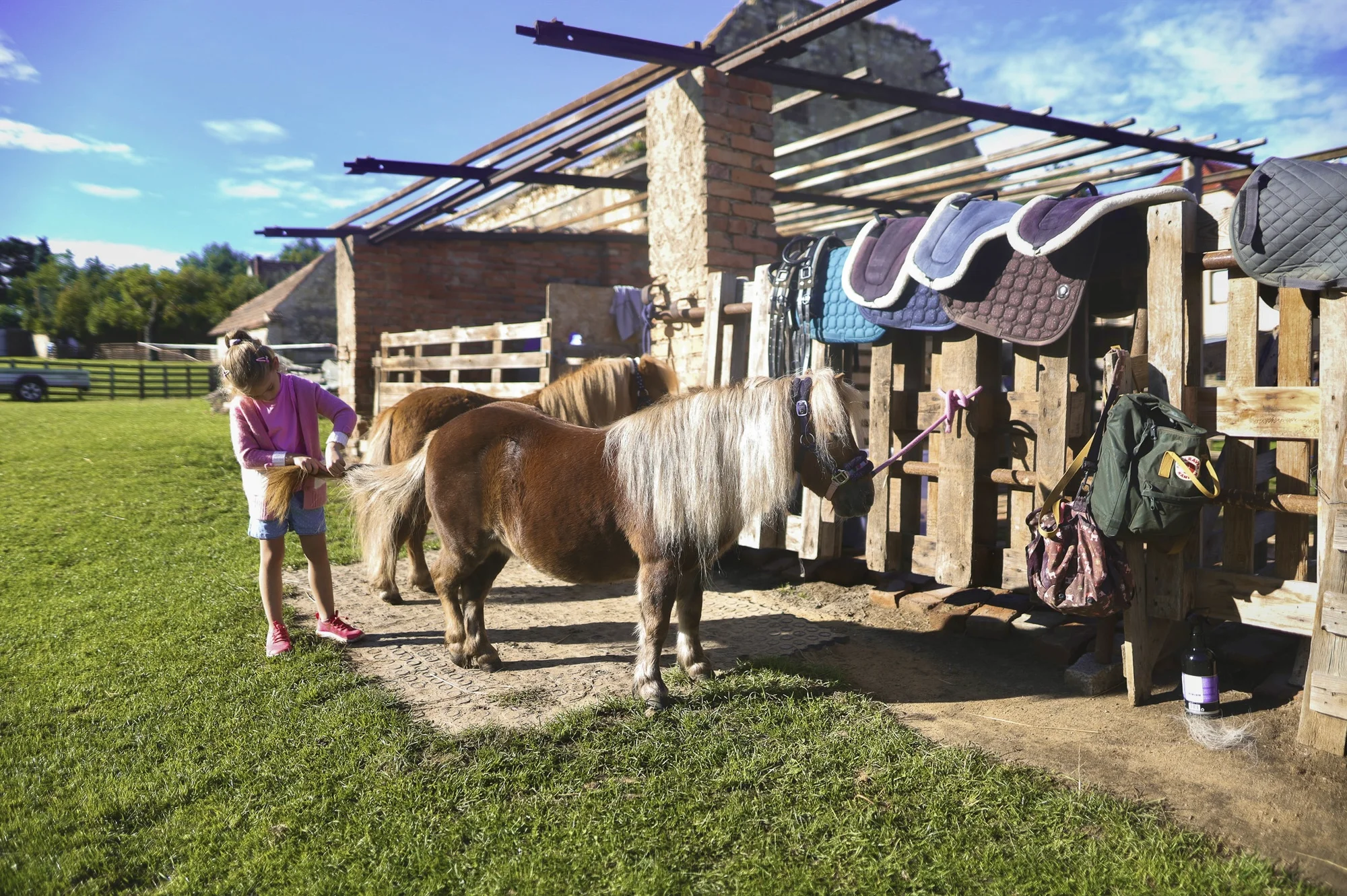 Zážitek na poníkové farmě: péče o poníky i projížďka s hledáním pokladu či plněním úkolů