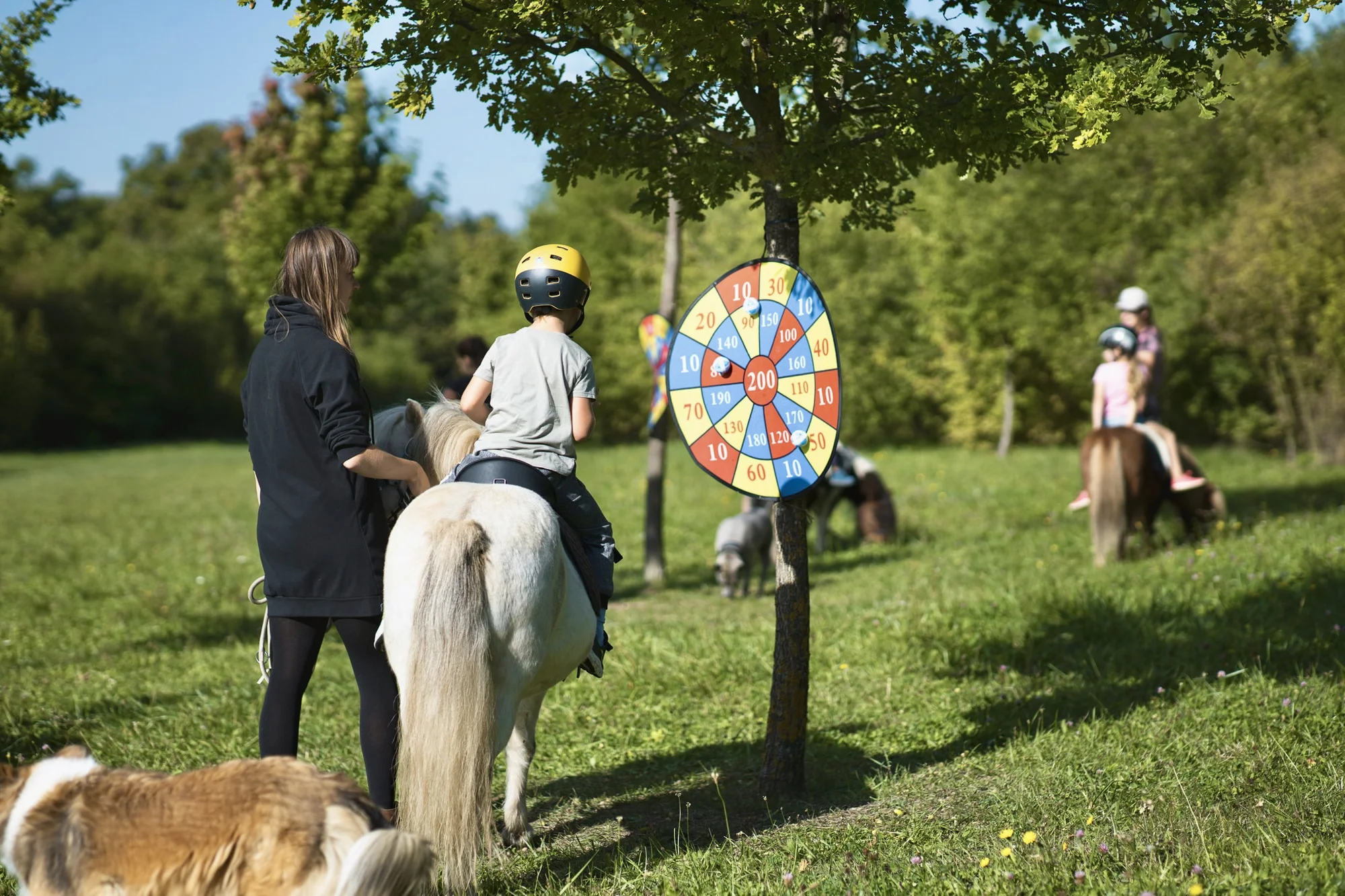 Zážitek na poníkové farmě: péče o poníky i projížďka s hledáním pokladu či plněním úkolů