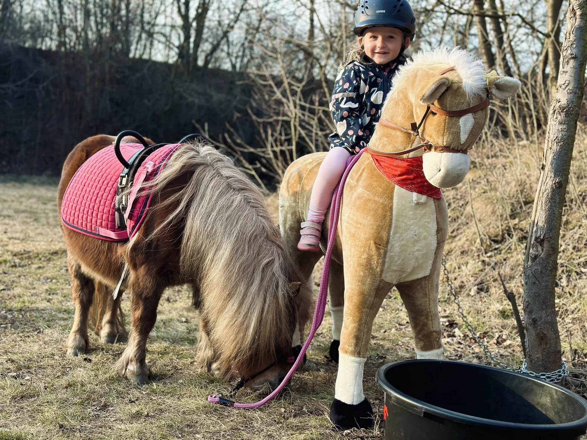 Zážitek na poníkové farmě: péče o poníky i projížďka s hledáním pokladu či plněním úkolů