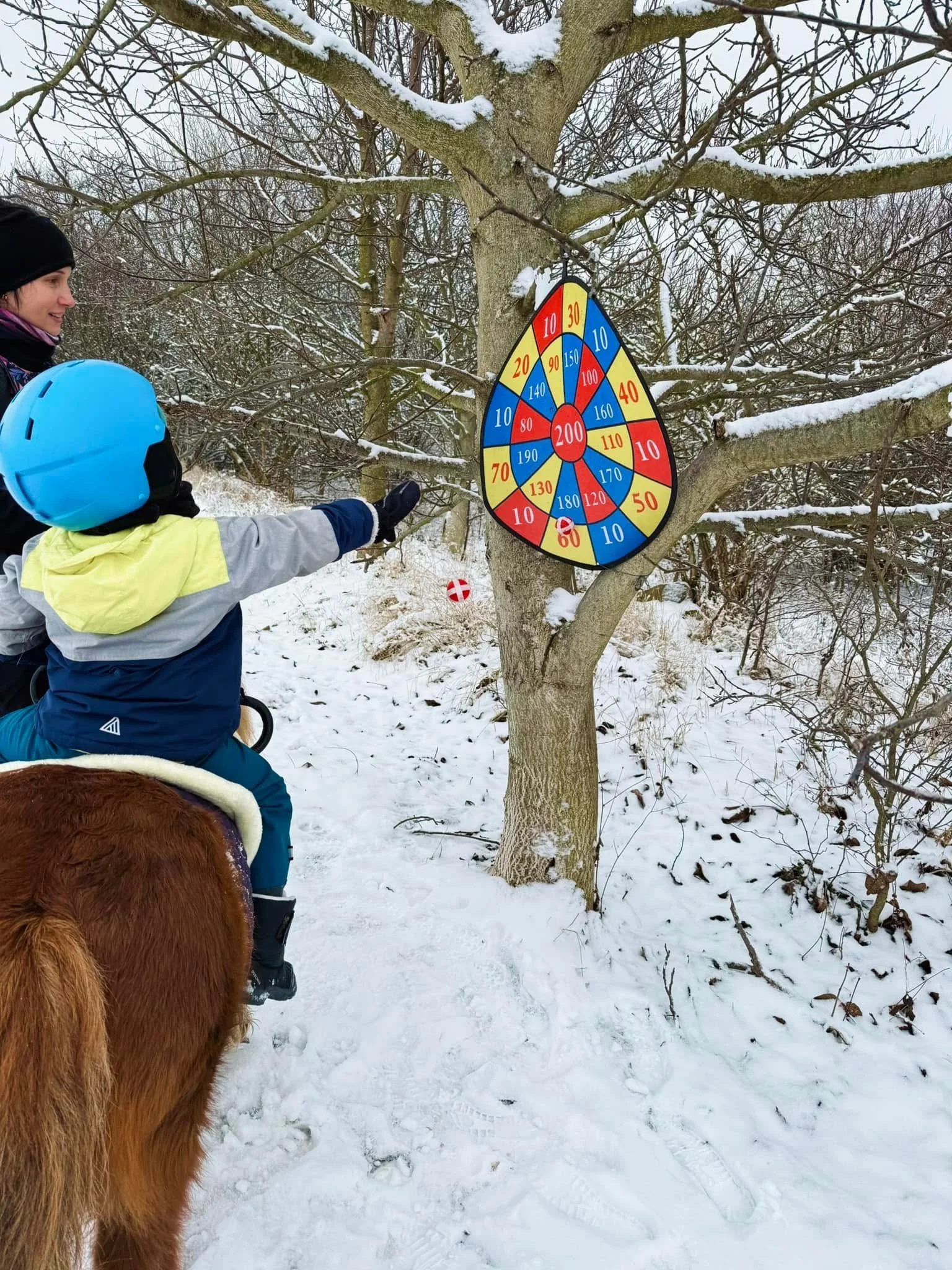 Zážitek na poníkové farmě: péče o poníky i projížďka s hledáním pokladu či plněním úkolů